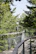 Visitors walking on elevated trails through dense tropical rainforest with vibrant wildlife.