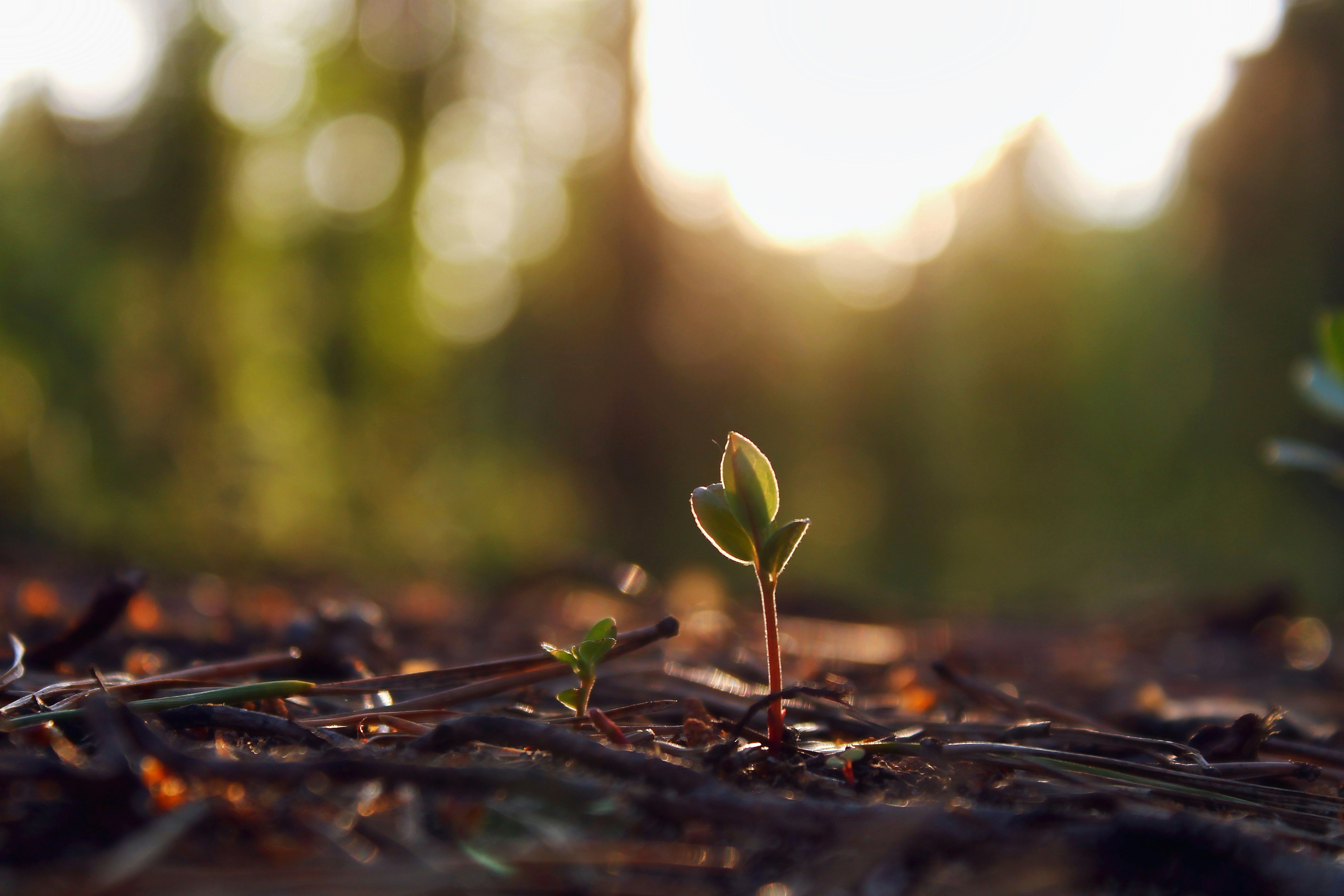 Photo by dragoncy635