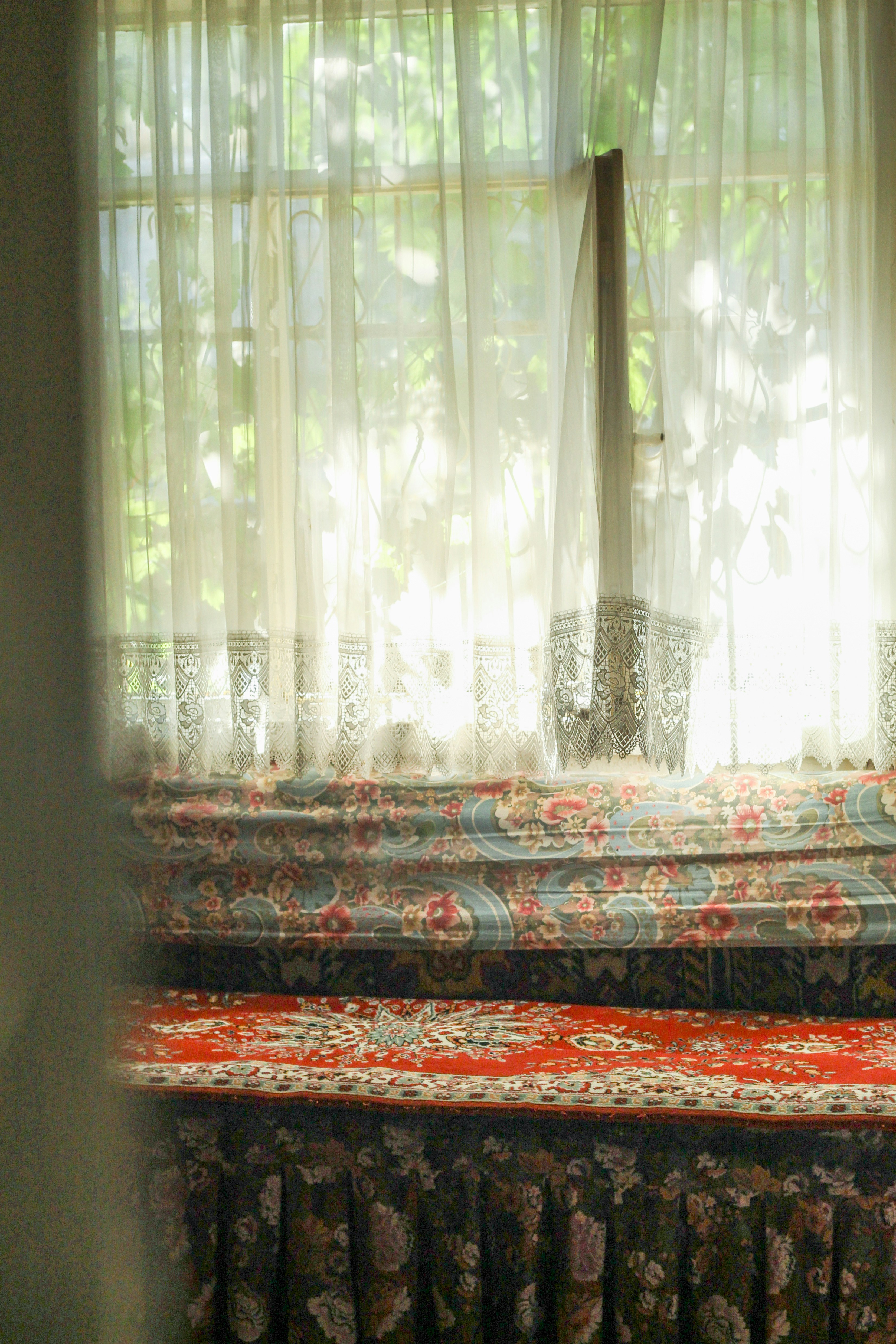 Photo by esrakorkmaz