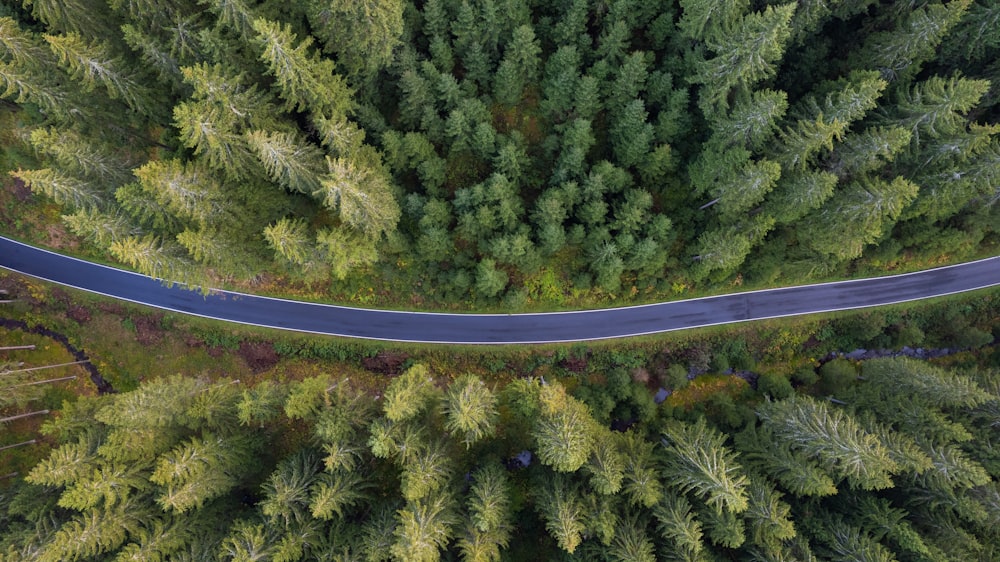 an aerial view of a road in the middle of a forest