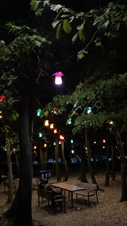 Warm glowing lanterns hanging from tree branches over a gingham-covered picnic table surrounded by blooming flowers.