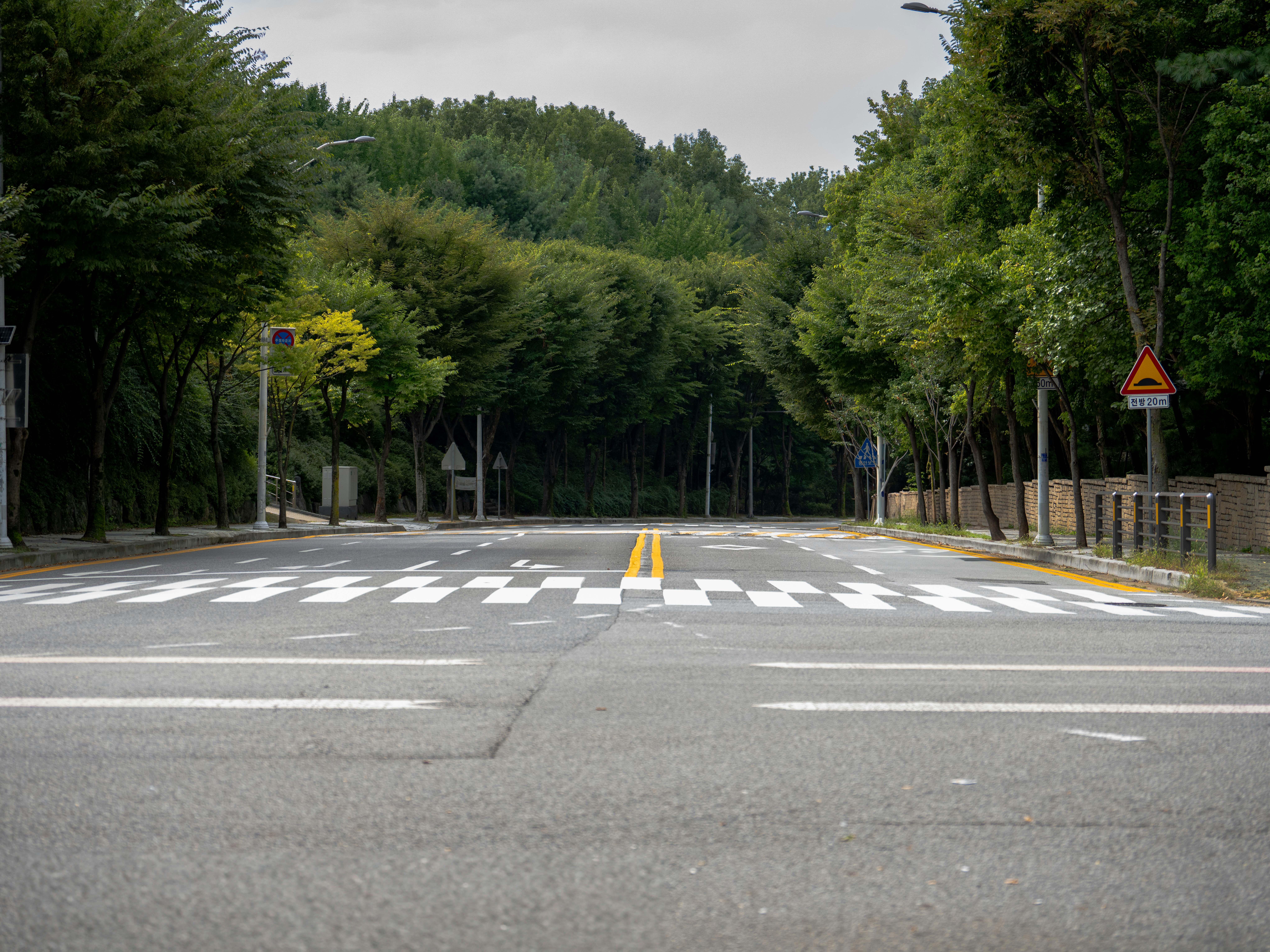 an empty street with a yellow and white crosswalk