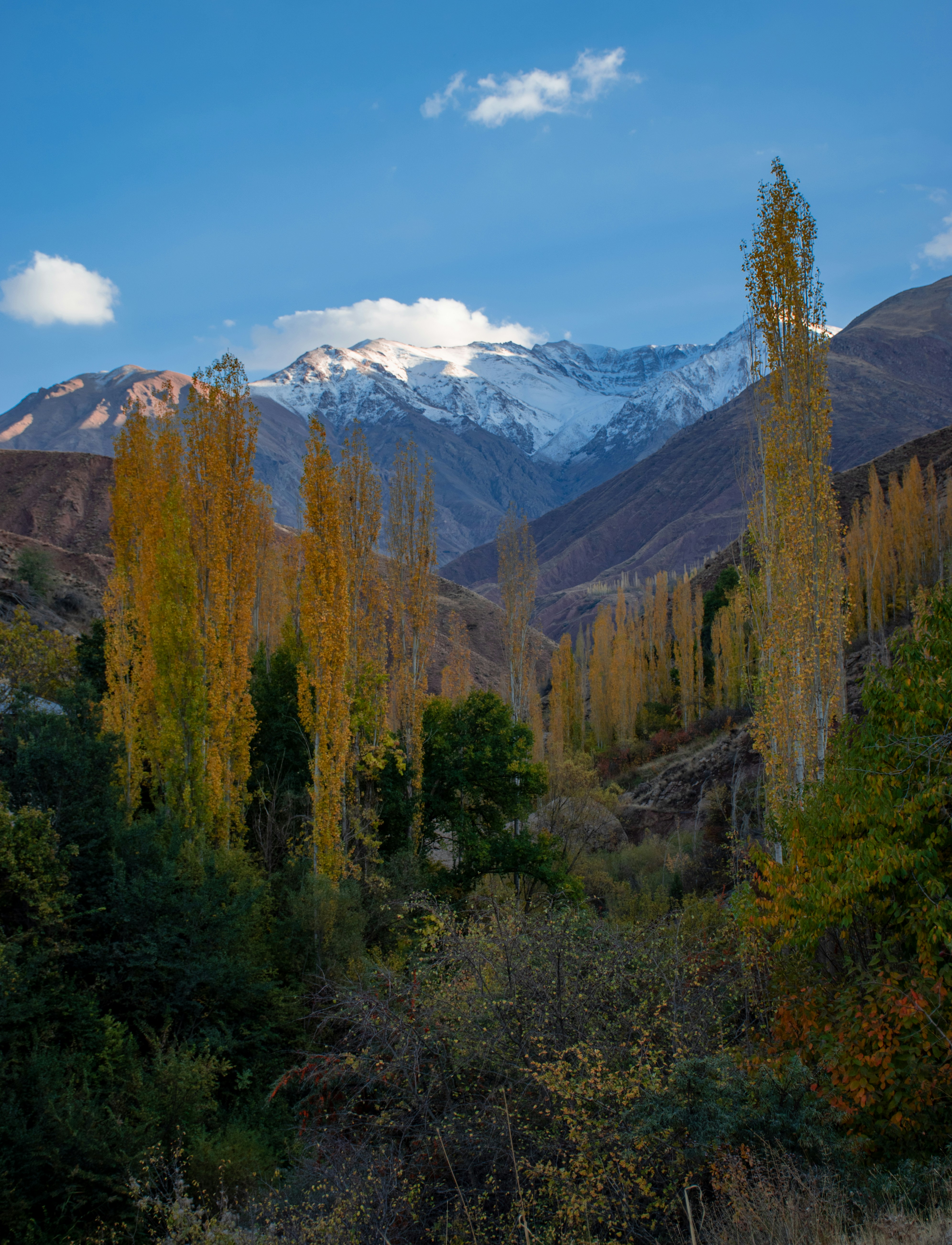 Photo by mojitaba