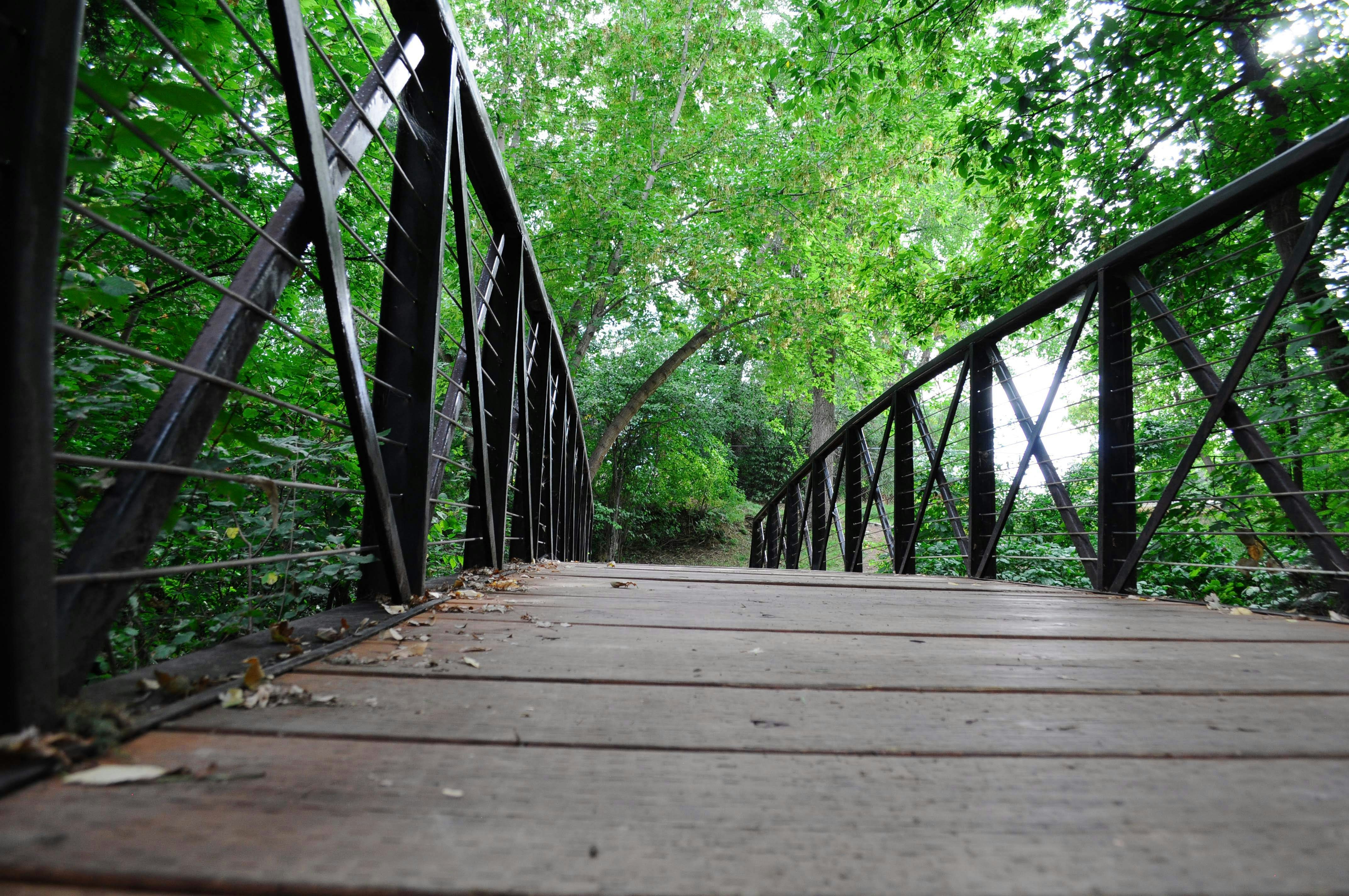 Photo by mackay_moments