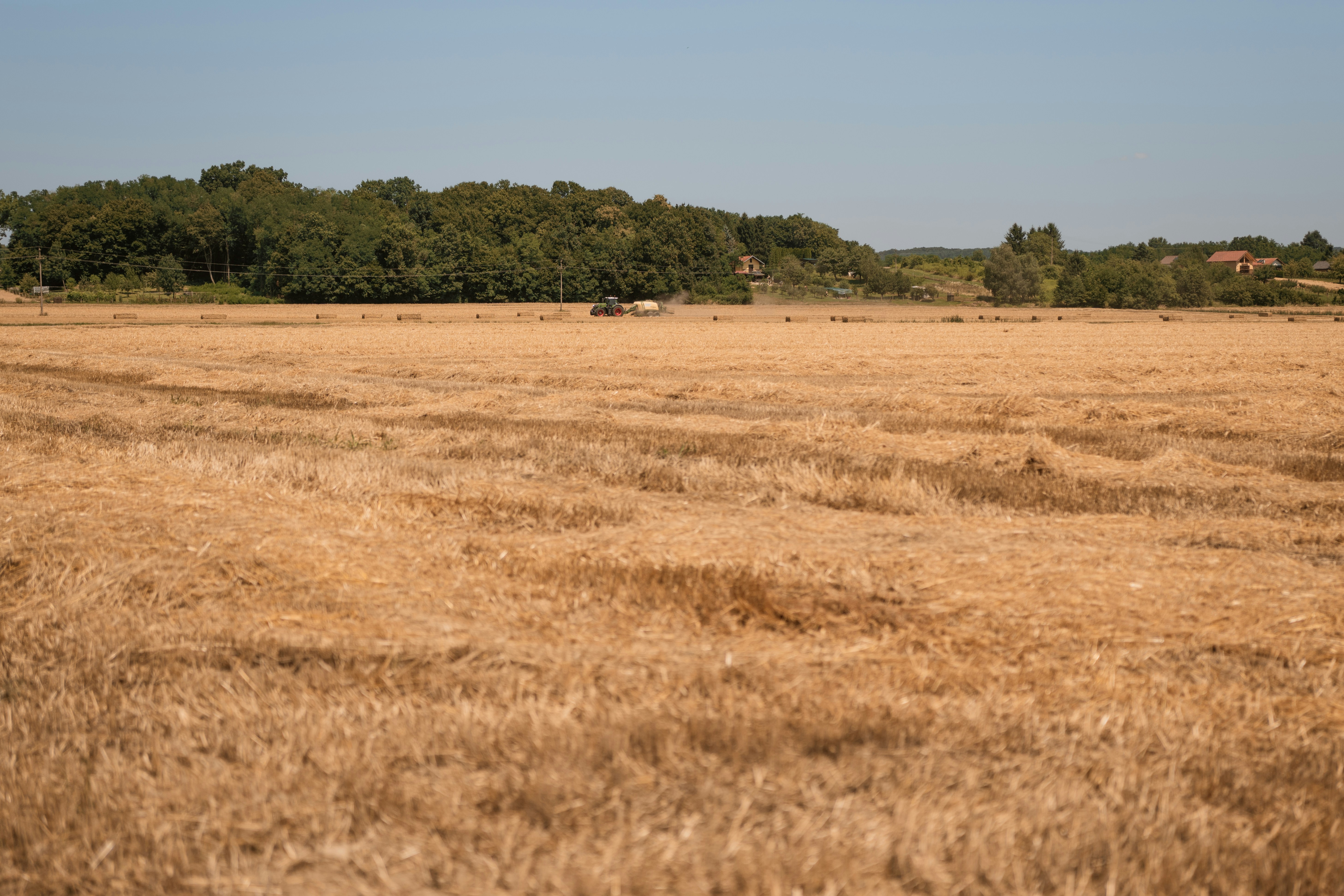 Dry agricultural field