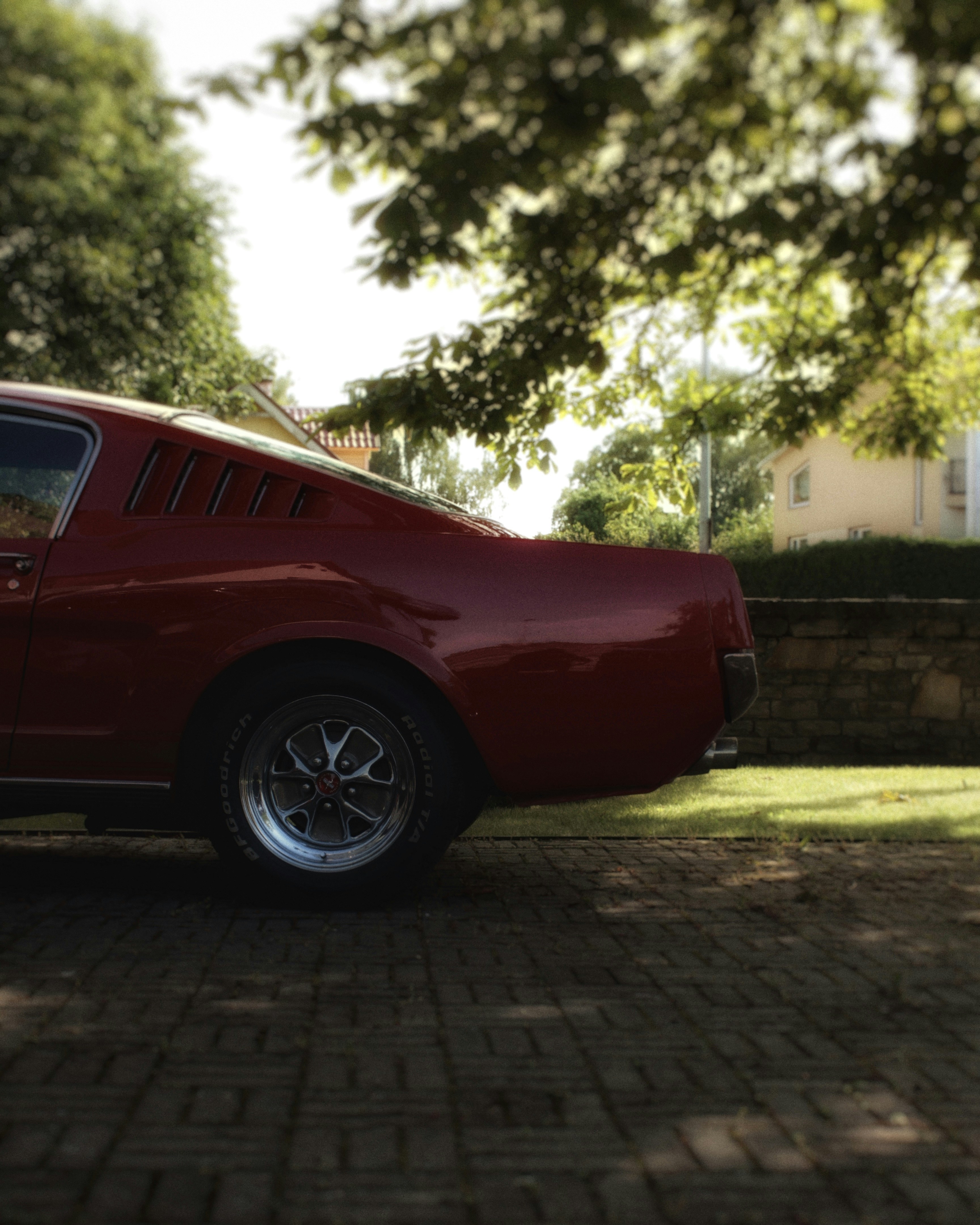 Photo by maximyuryshev