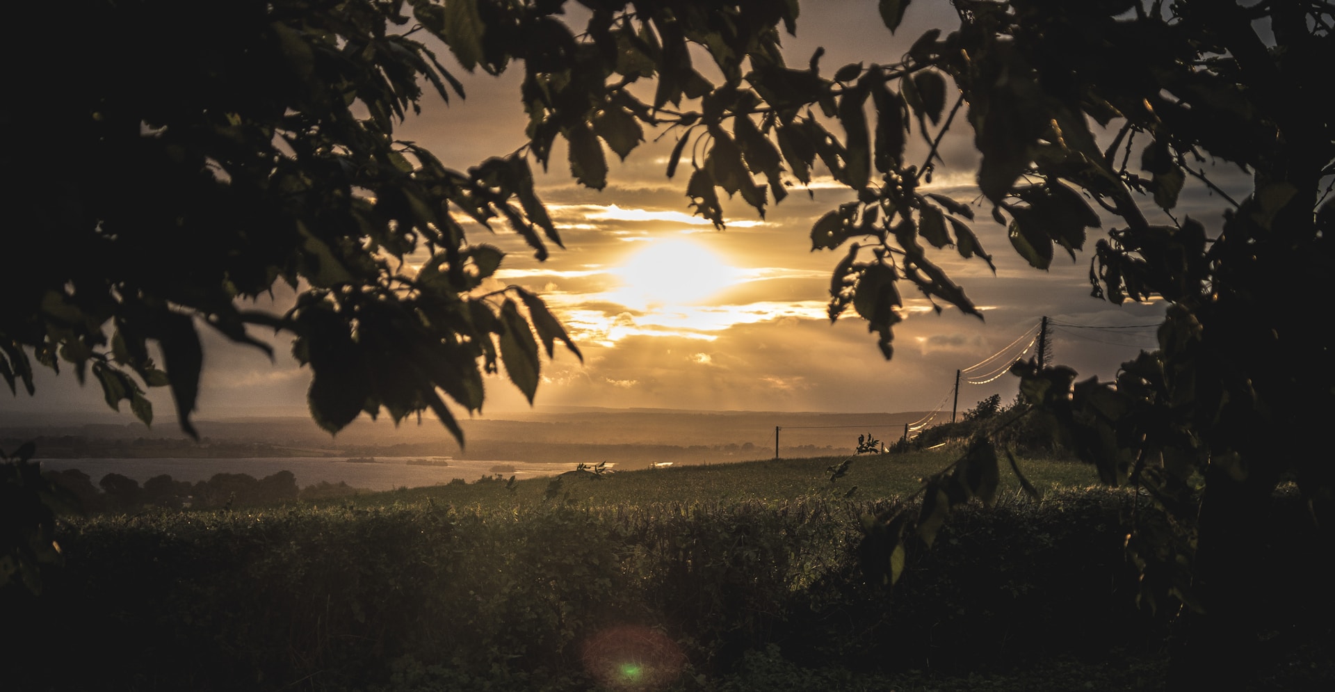 the sun is setting over a grassy field