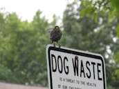 A bird stands perched atop a metal sign with the words 'DOG WASTE' prominently displayed. The sign is white with black text, and the background consists of lush green trees, indicating a natural outdoor setting.