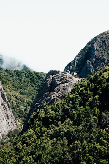 A rugged mountain landscape featuring green foliage covering the rocky terrain. Mist hangs in the air above the mountain tops, adding a sense of mystery and isolation. A small, white structure is perched on a rocky outcrop, emphasizing the scale and grandeur of the natural surroundings.