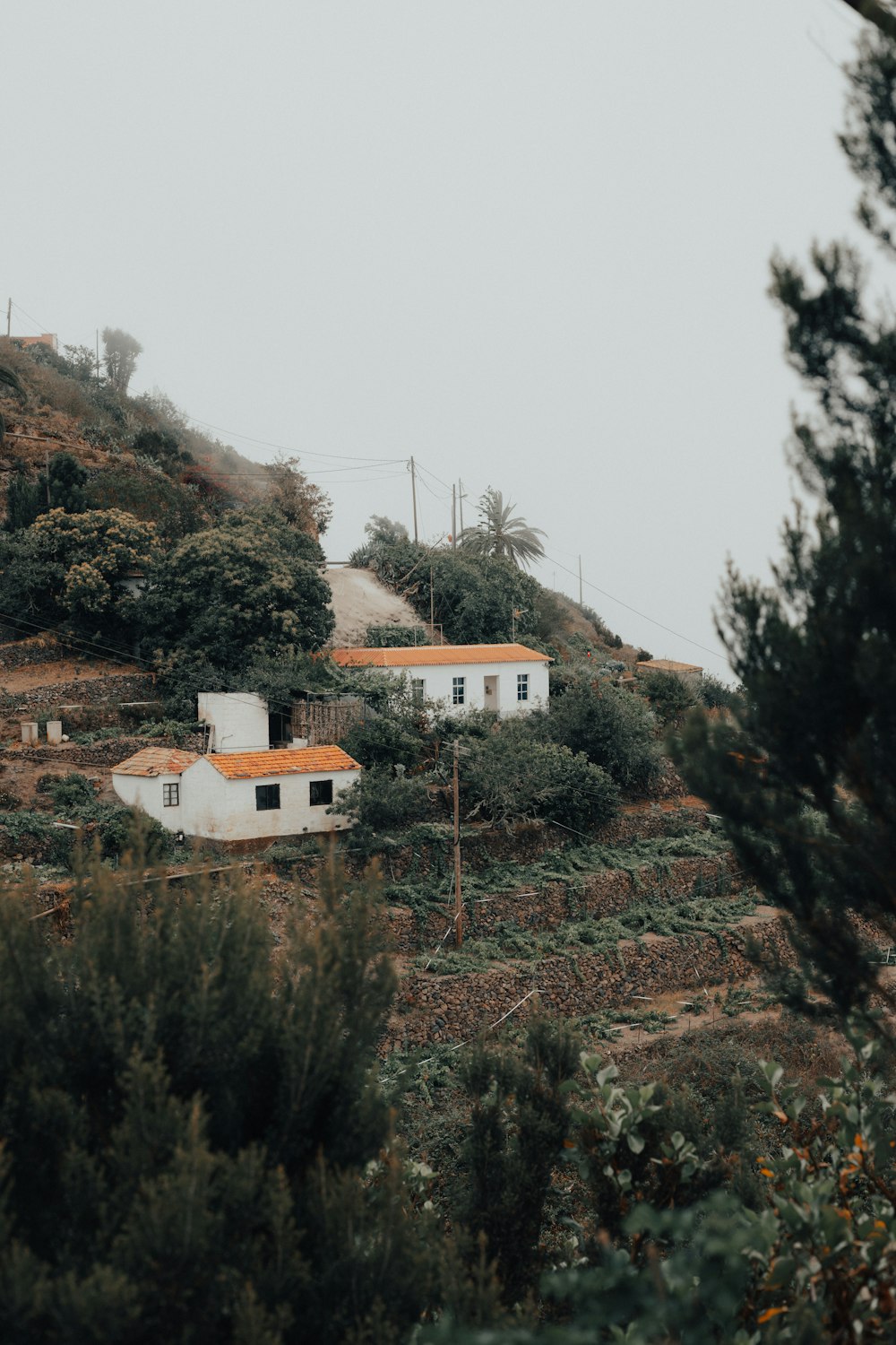 a couple of houses sitting on top of a hill