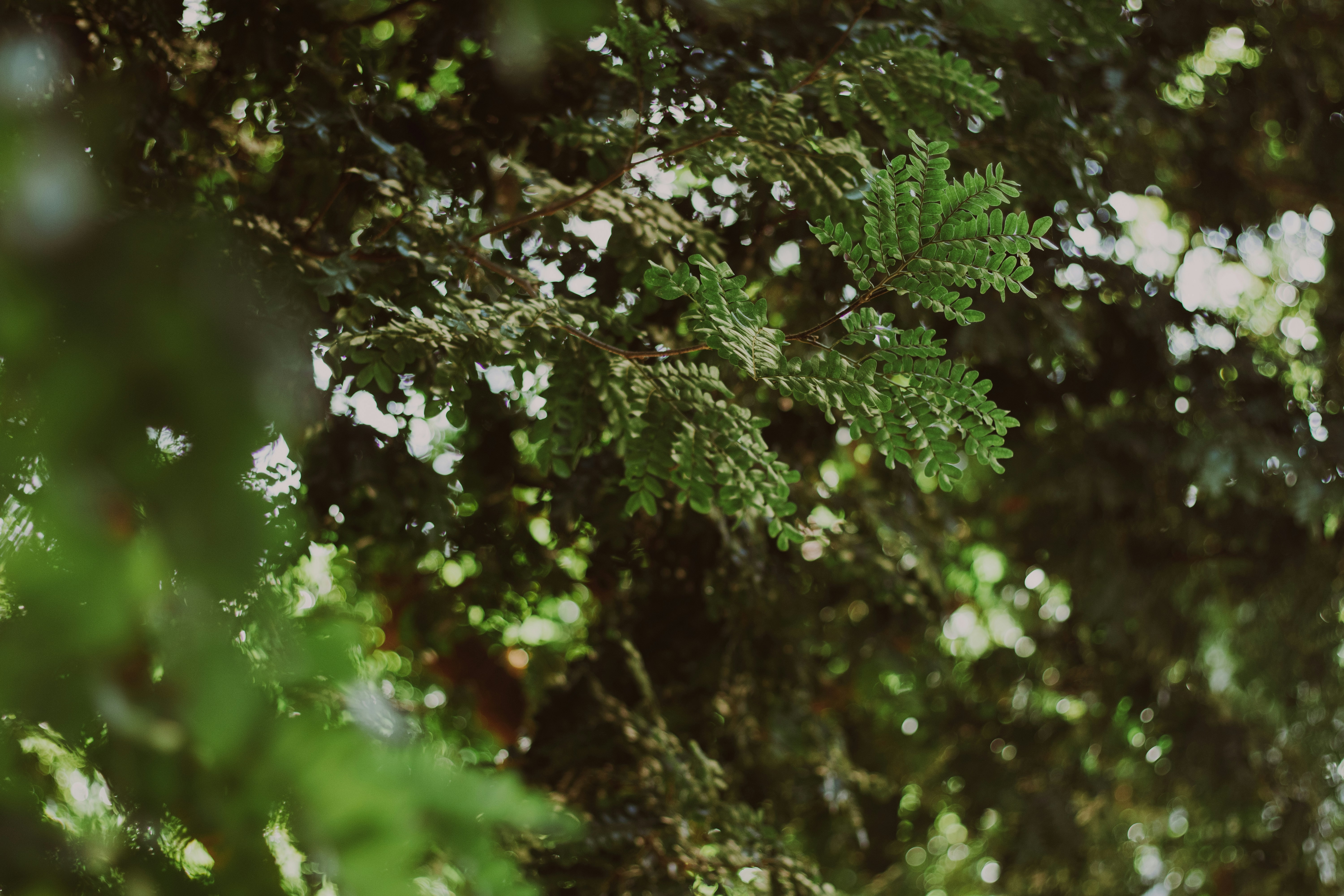 Photo by cami_fotosart