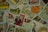 A collection of tarot cards is scattered across a surface. The cards feature various illustrations, including figures, symbols, and numbers, with a vintage and artistic style. The images include the Wheel of Fortune, a knight, a bearded king, and other mystical symbols.