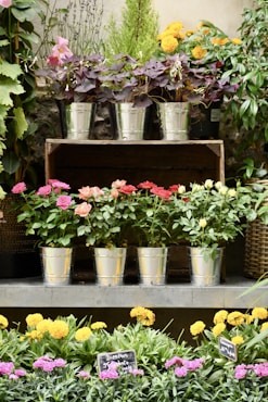 a bunch of flowers that are on a shelf