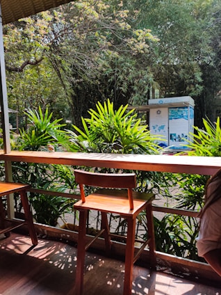 A vibrant display of eco-friendly outdoor equipment arranged on a wooden table surrounded by greenery.