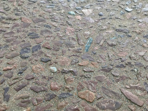 A surface that appears to be a cobblestone path with various shapes and sizes of stones embedded in the ground. The stones are mostly irregular, some of them slightly polished, and are set in a mix of sandy and earthy material.