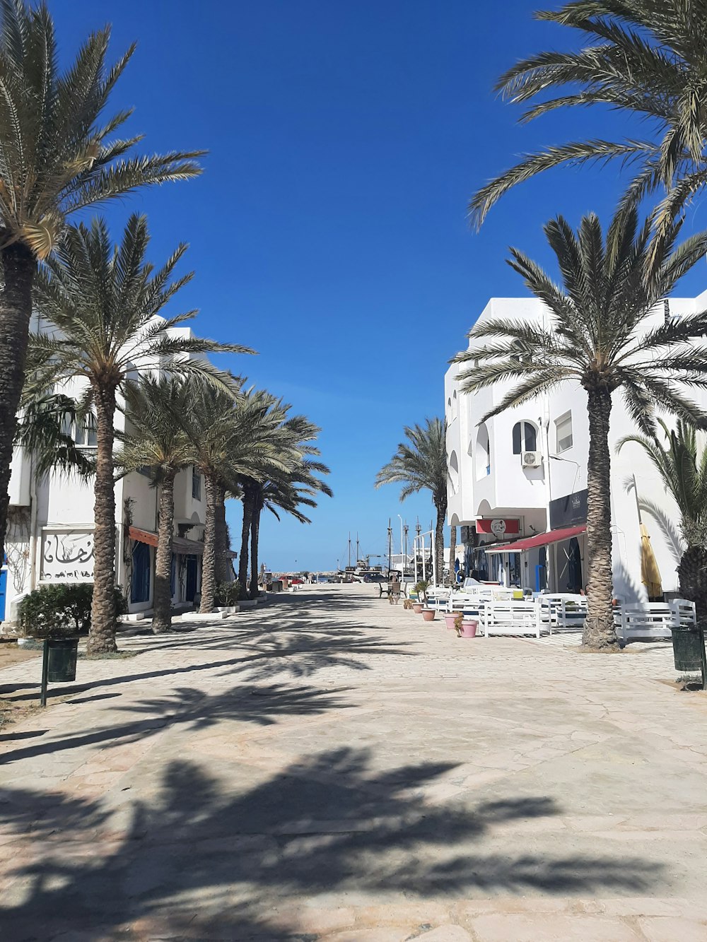 a street lined with palm trees on a sunny day