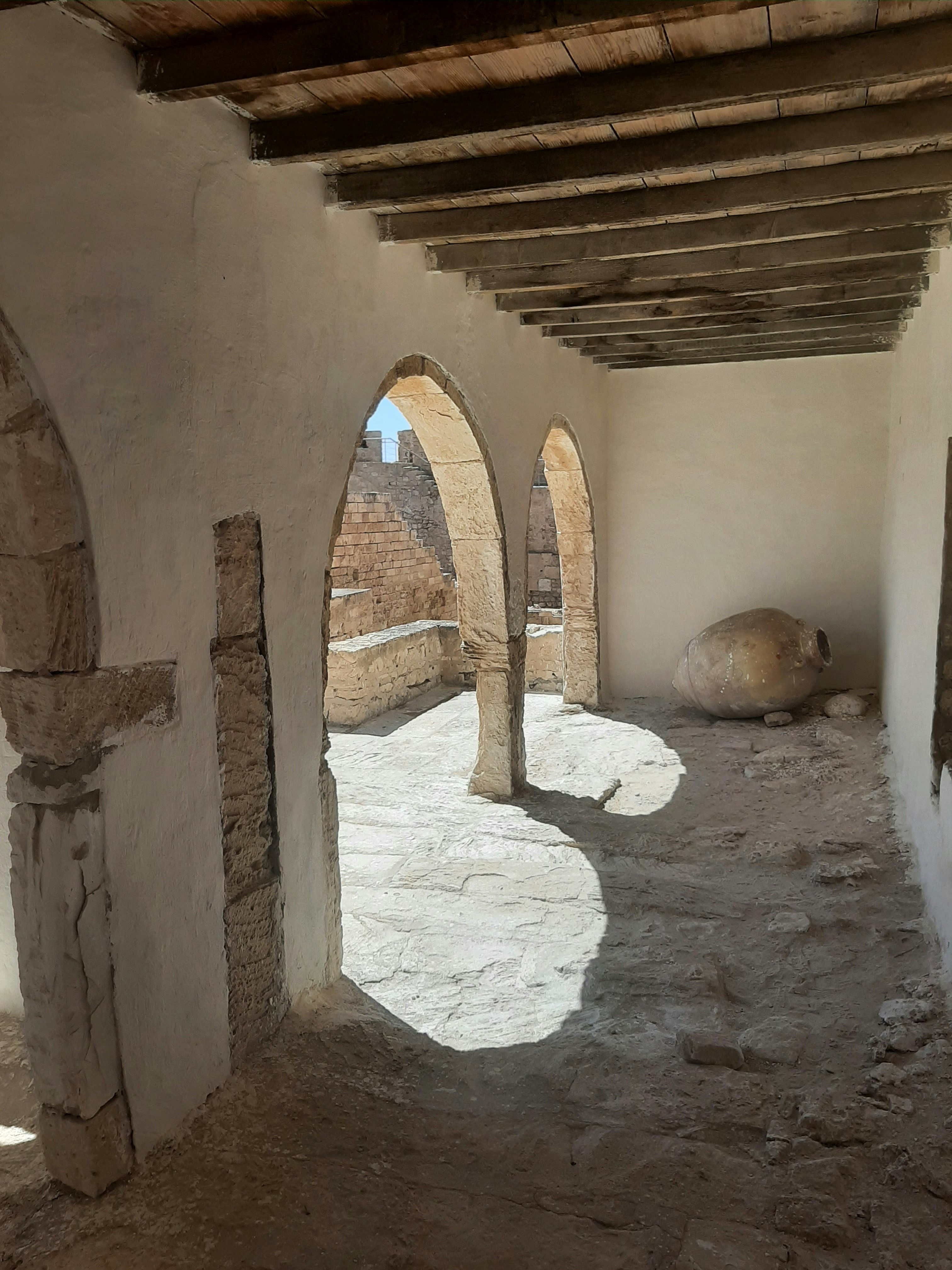 Ancient Greek clay amphora vessels with botanical herbs and golden honey on sun-drenched stone surface, warm Mediterranean light