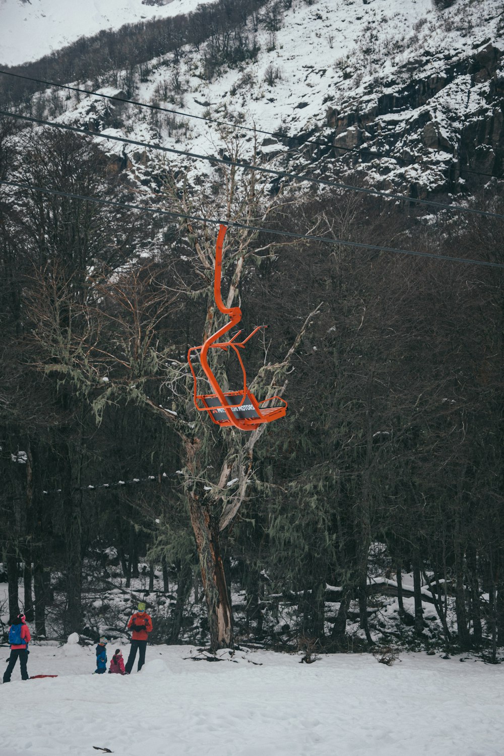 a group of people standing around a tree in the snow