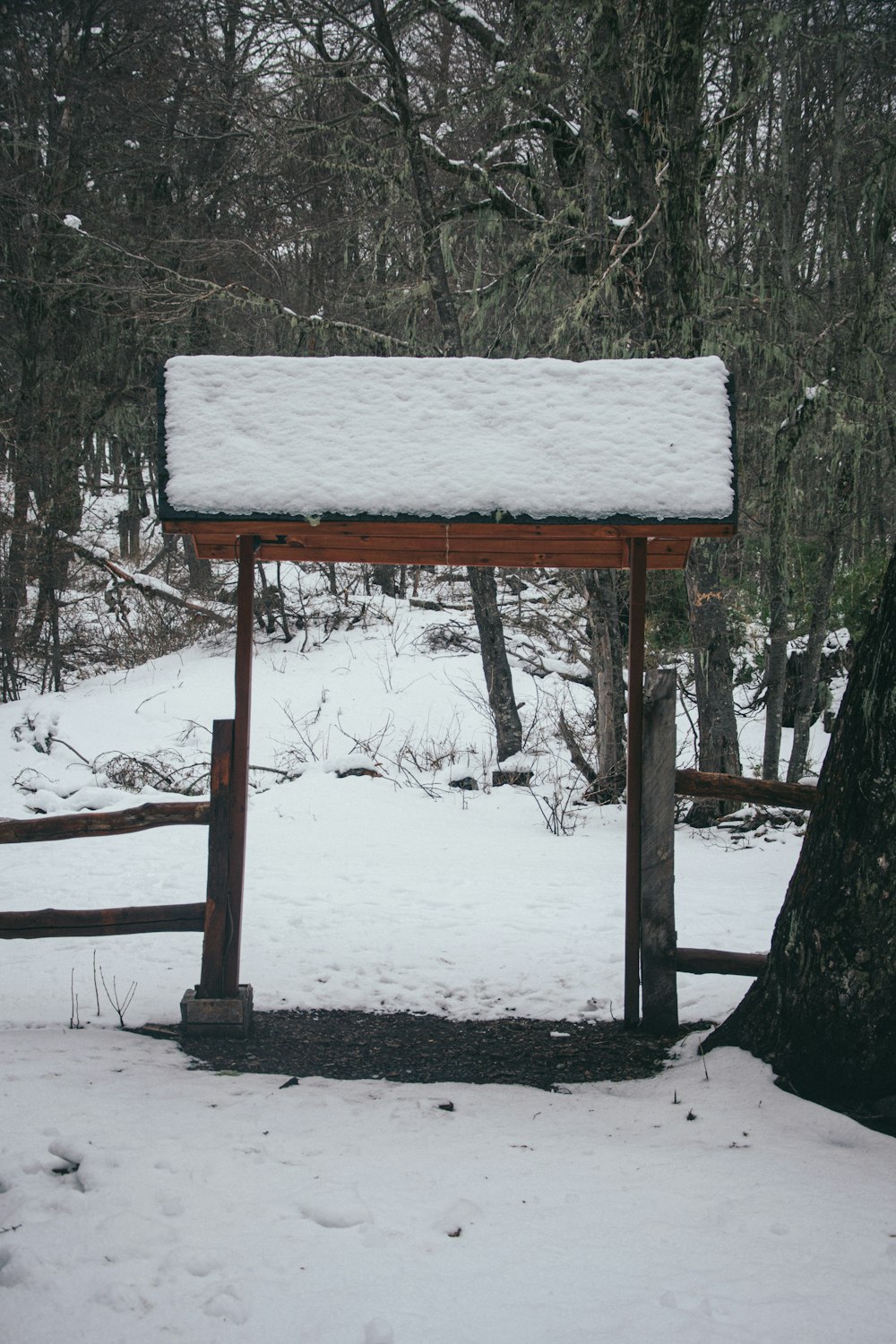 a snow covered bench in a snowy forest