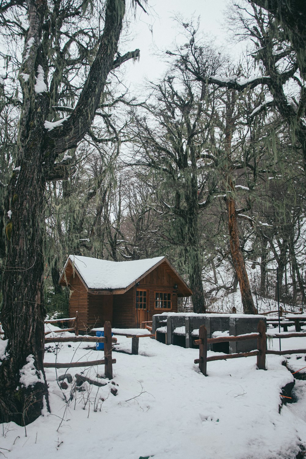 a cabin in the woods covered in snow