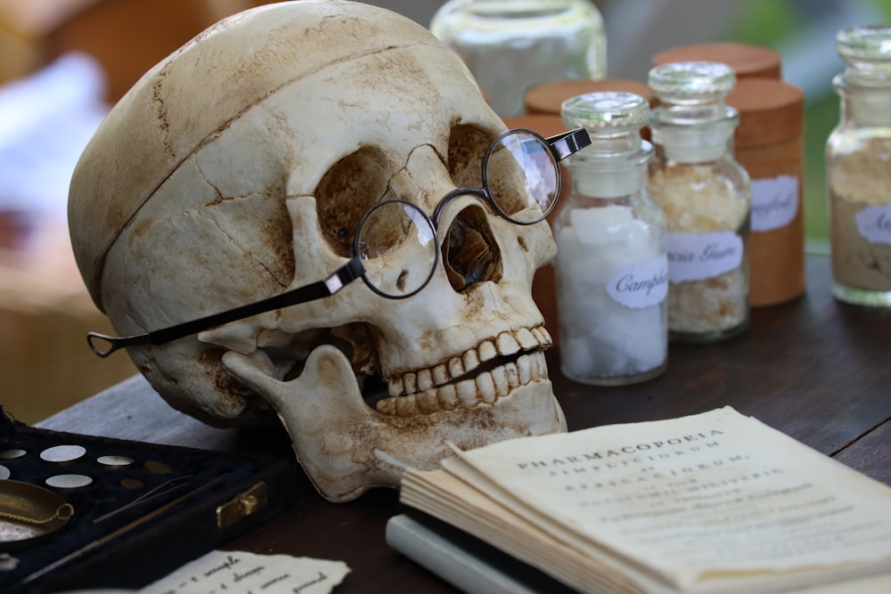 a human skull with a magnifying glass on top of it