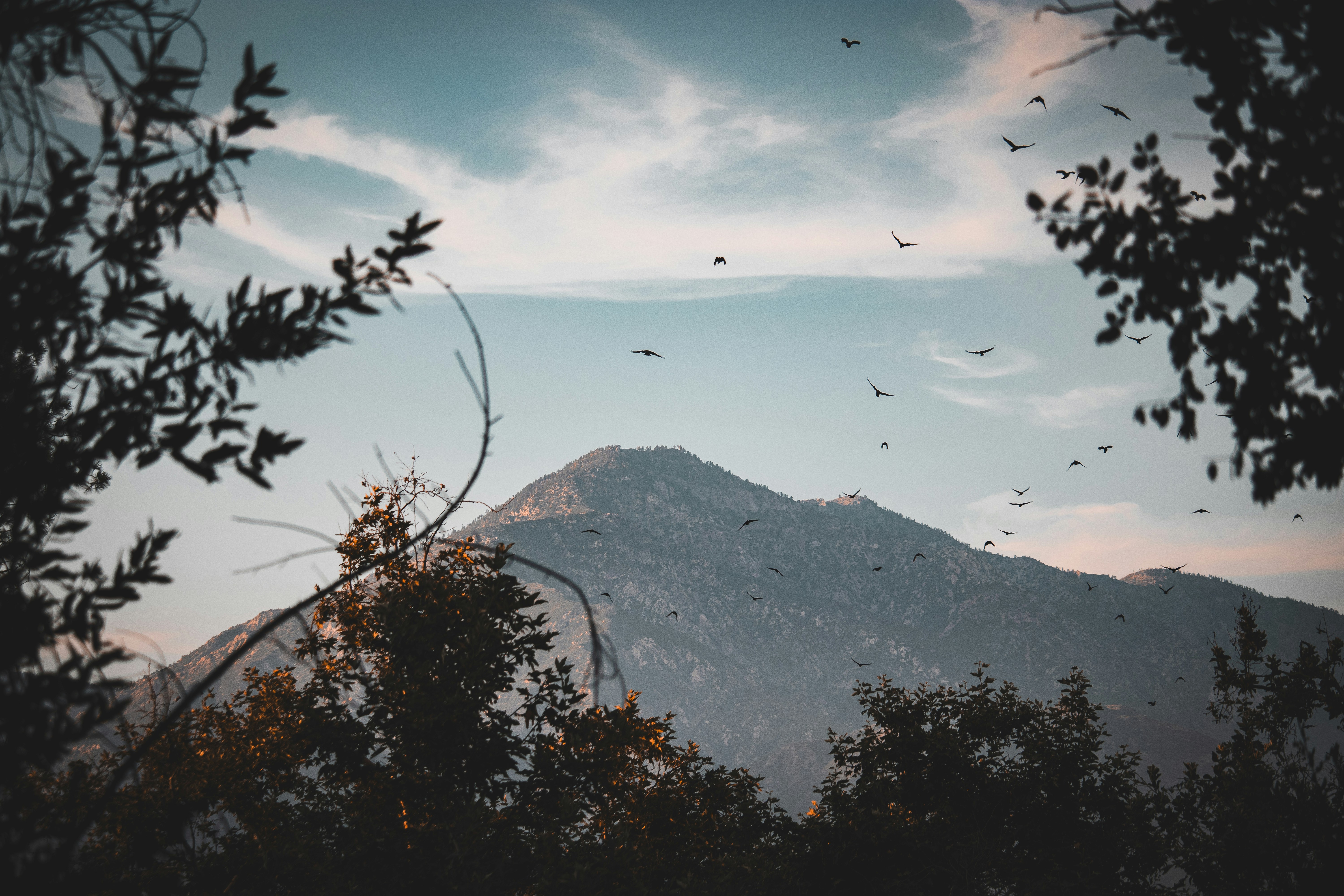 Photo by brice_cooper18