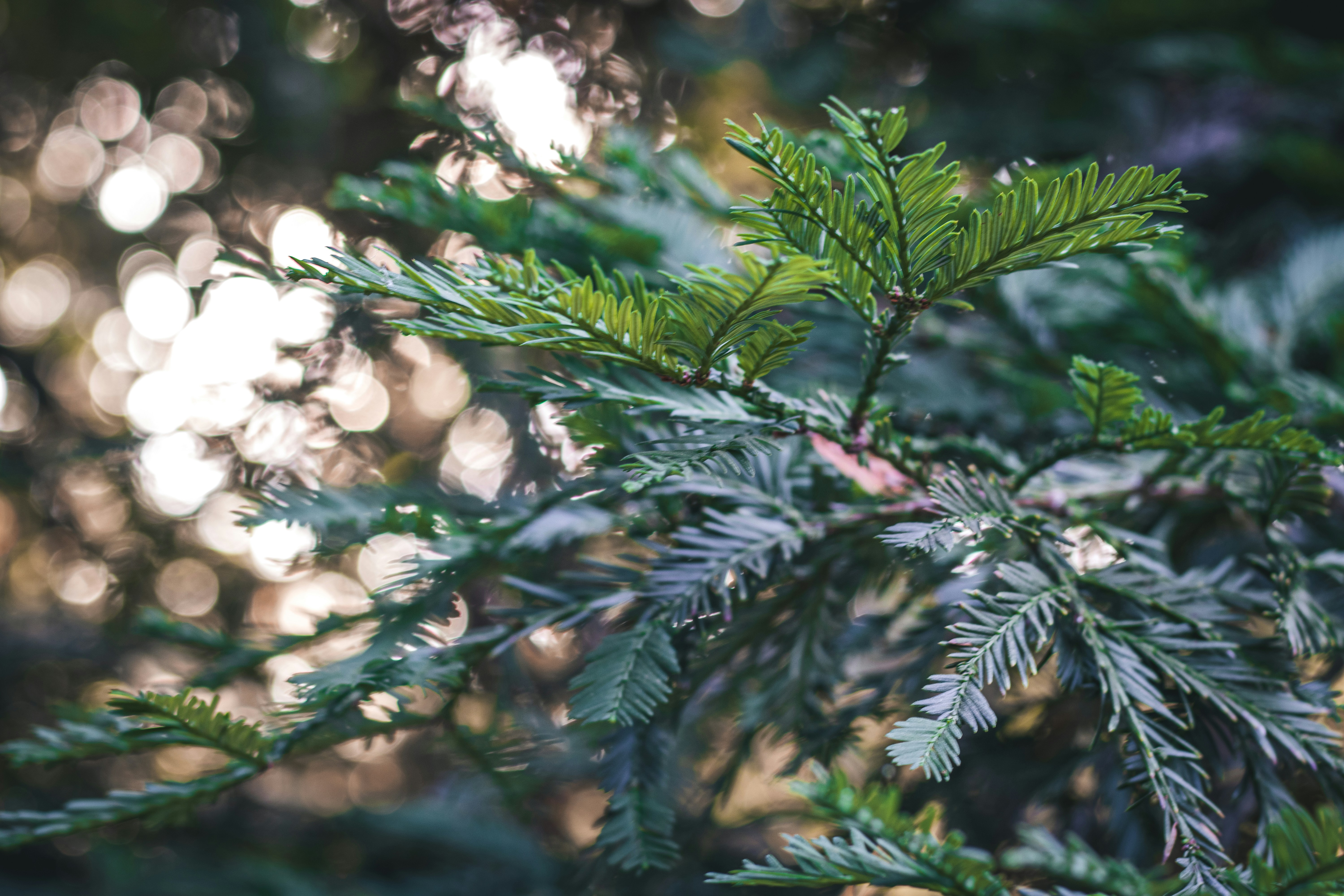 Photo by brice_cooper18