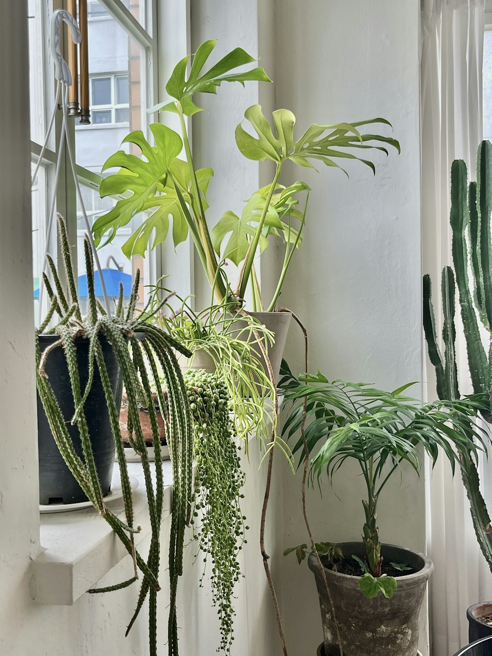 a window sill filled with potted plants next to a window