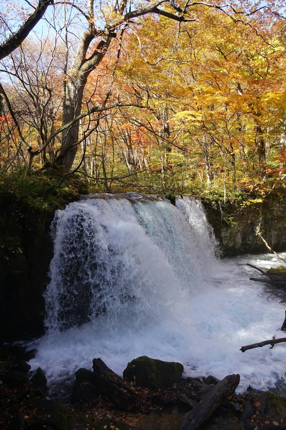 a small waterfall in a wooded area surrounded by trees