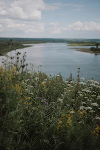 A serene riverfront property bordered by wildflowers and native grasses under a clear blue sky.