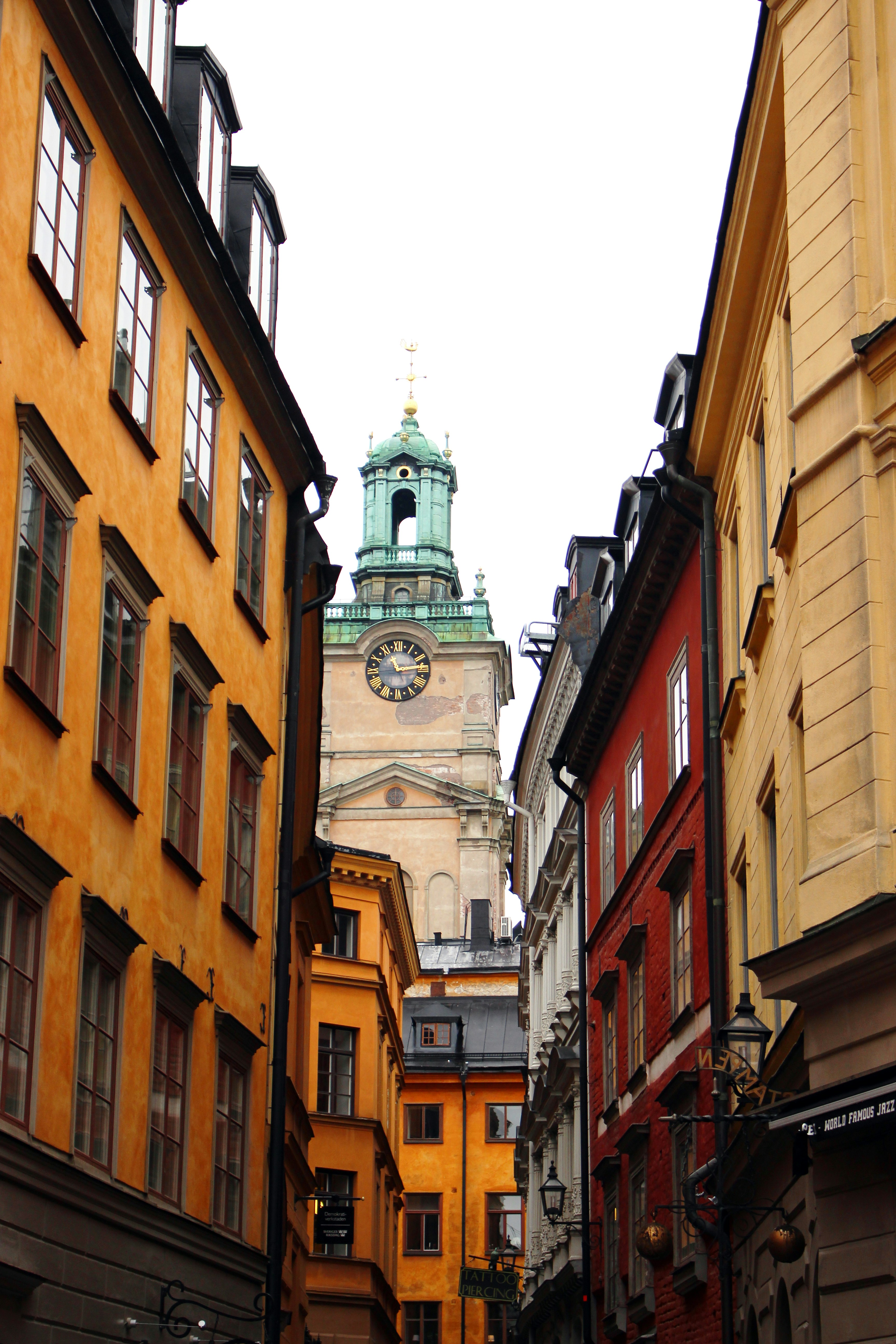 Photo by seibelphotography