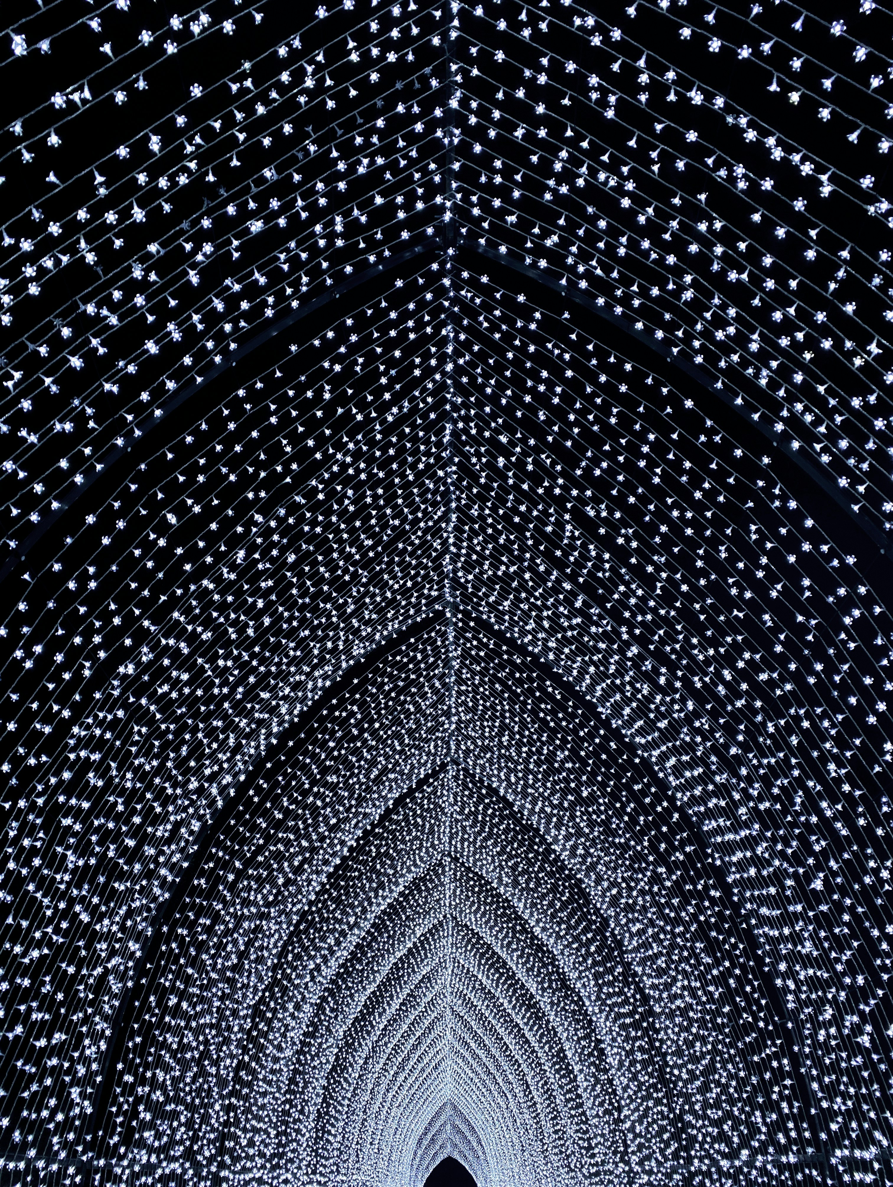 Photo by printandproper