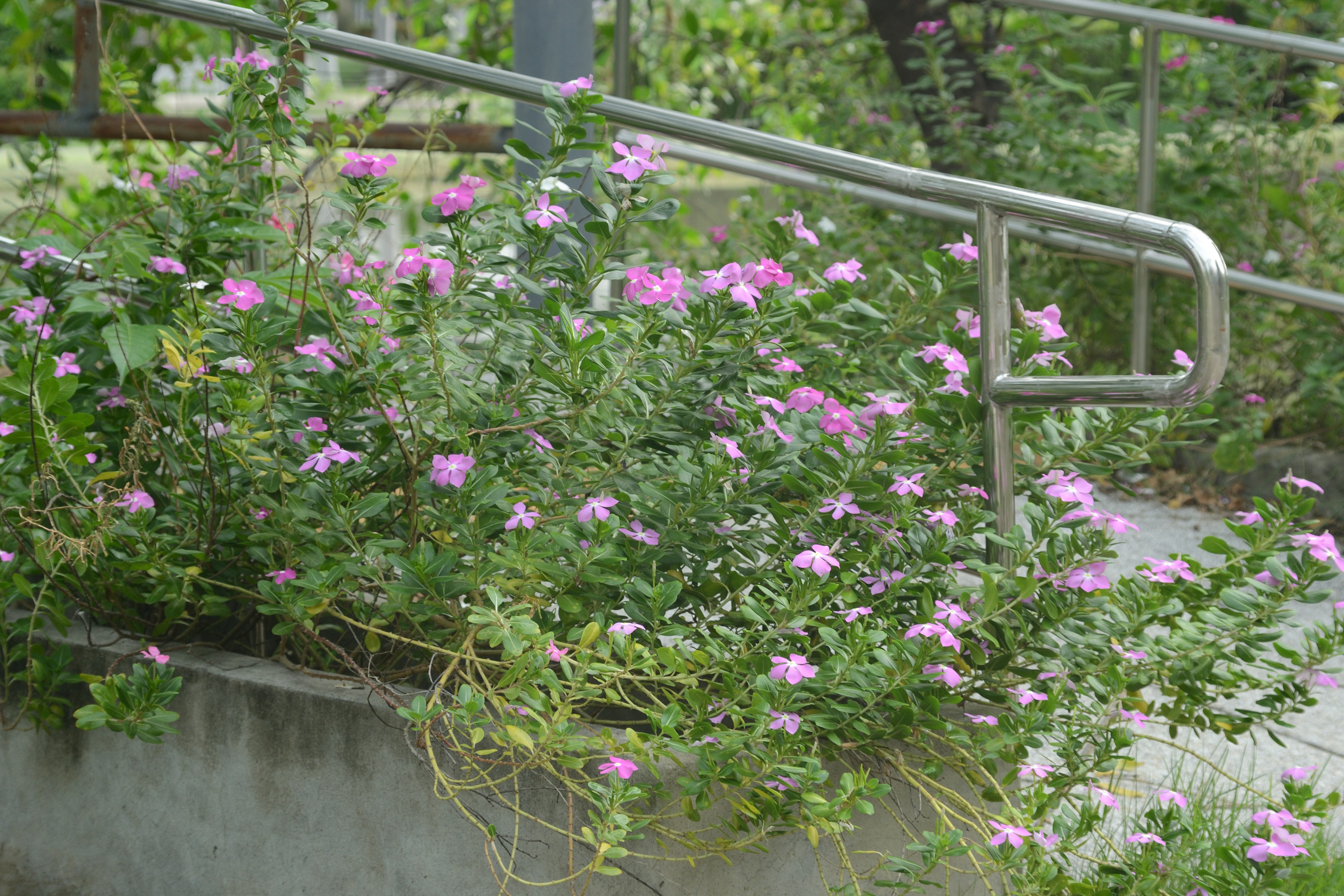 Photo by kuyuneth2543