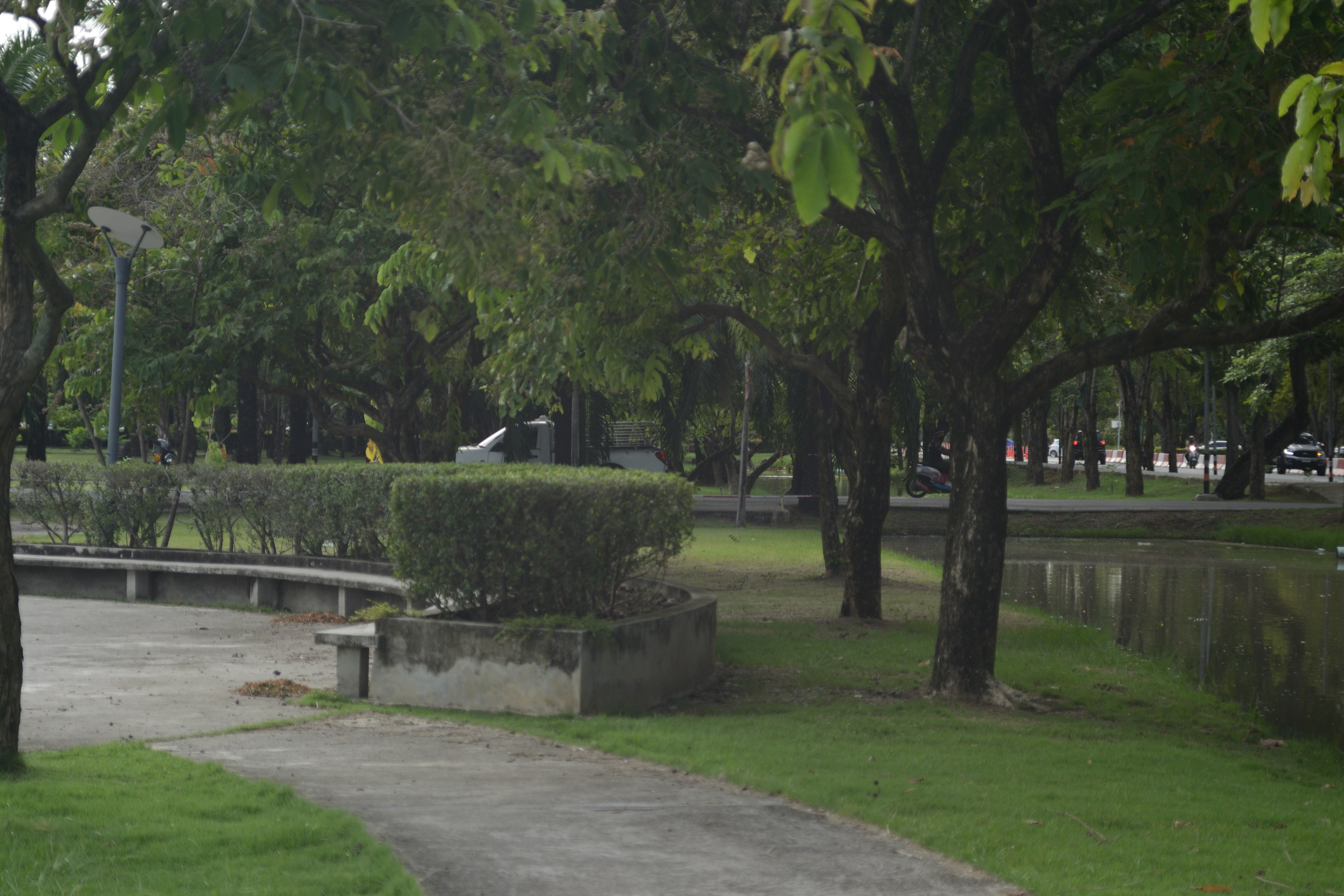 Photo by kuyuneth2543