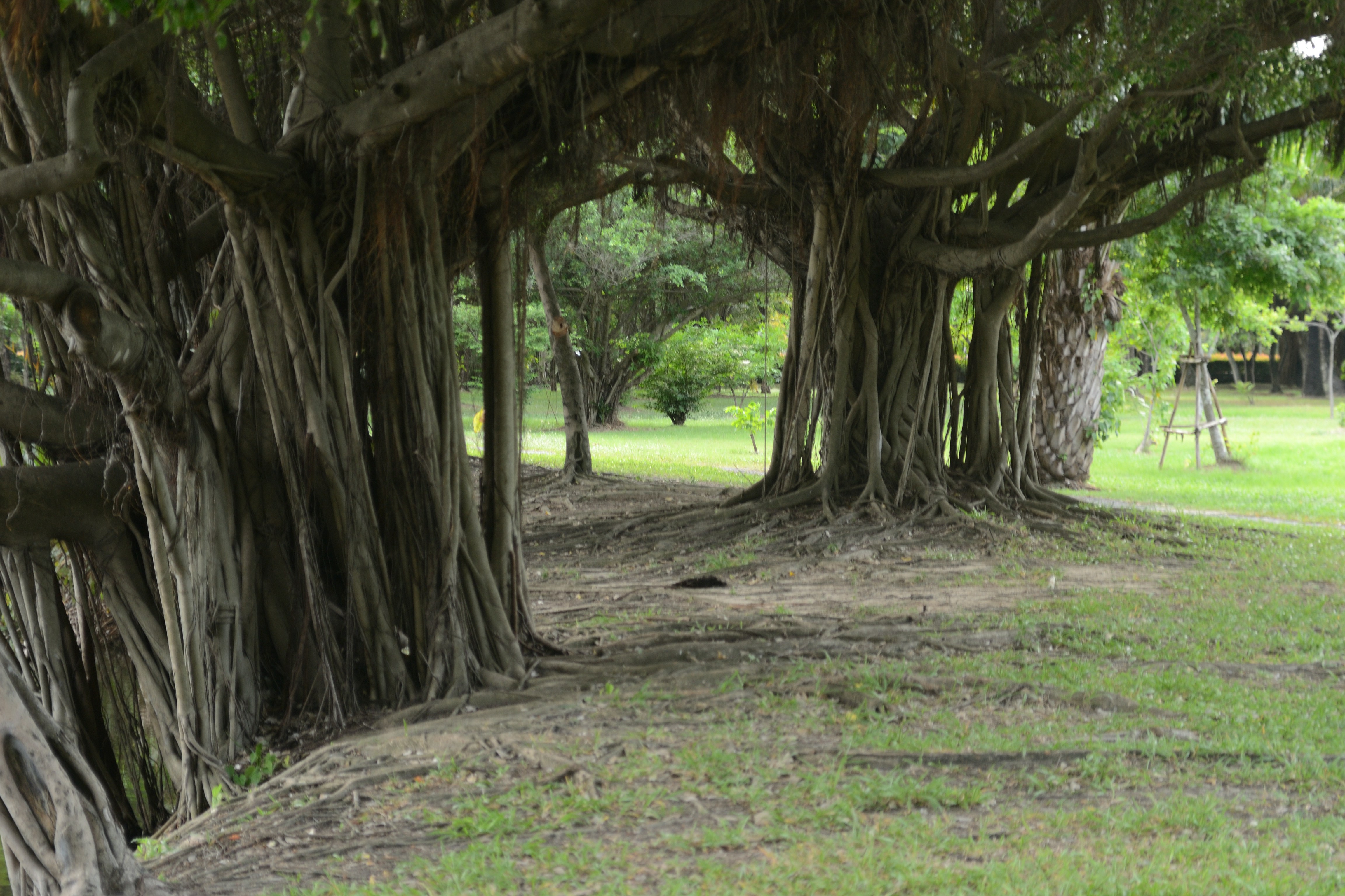 Photo by kuyuneth2543