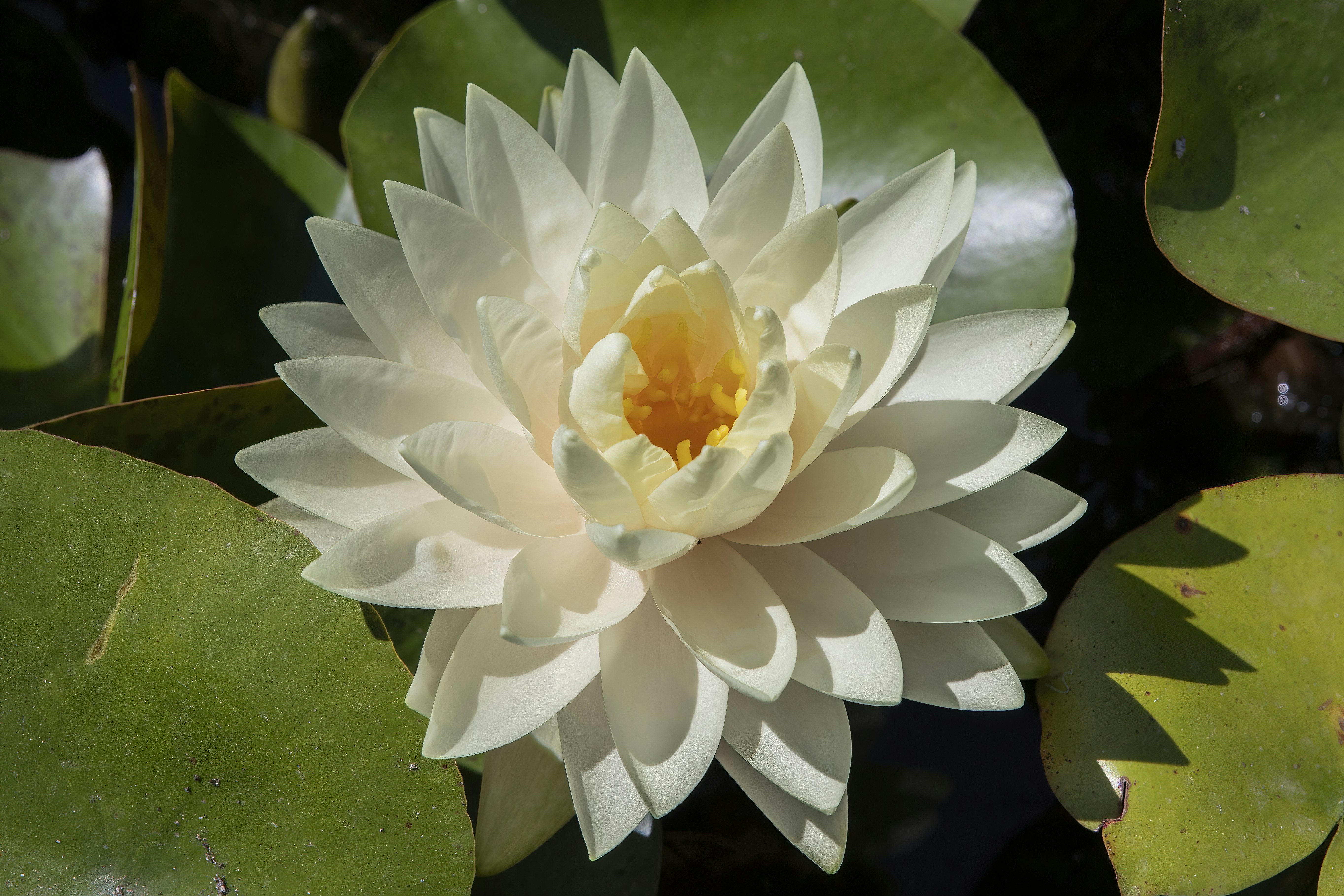 Photo by jddartphotographer