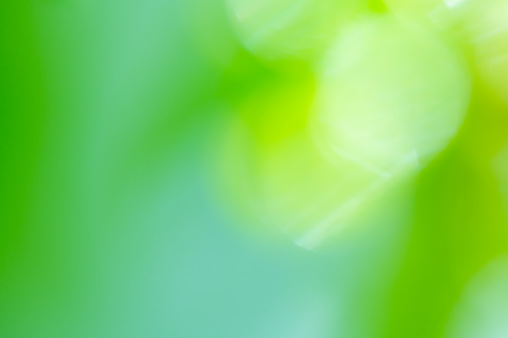 a blurry photo of a green leaf