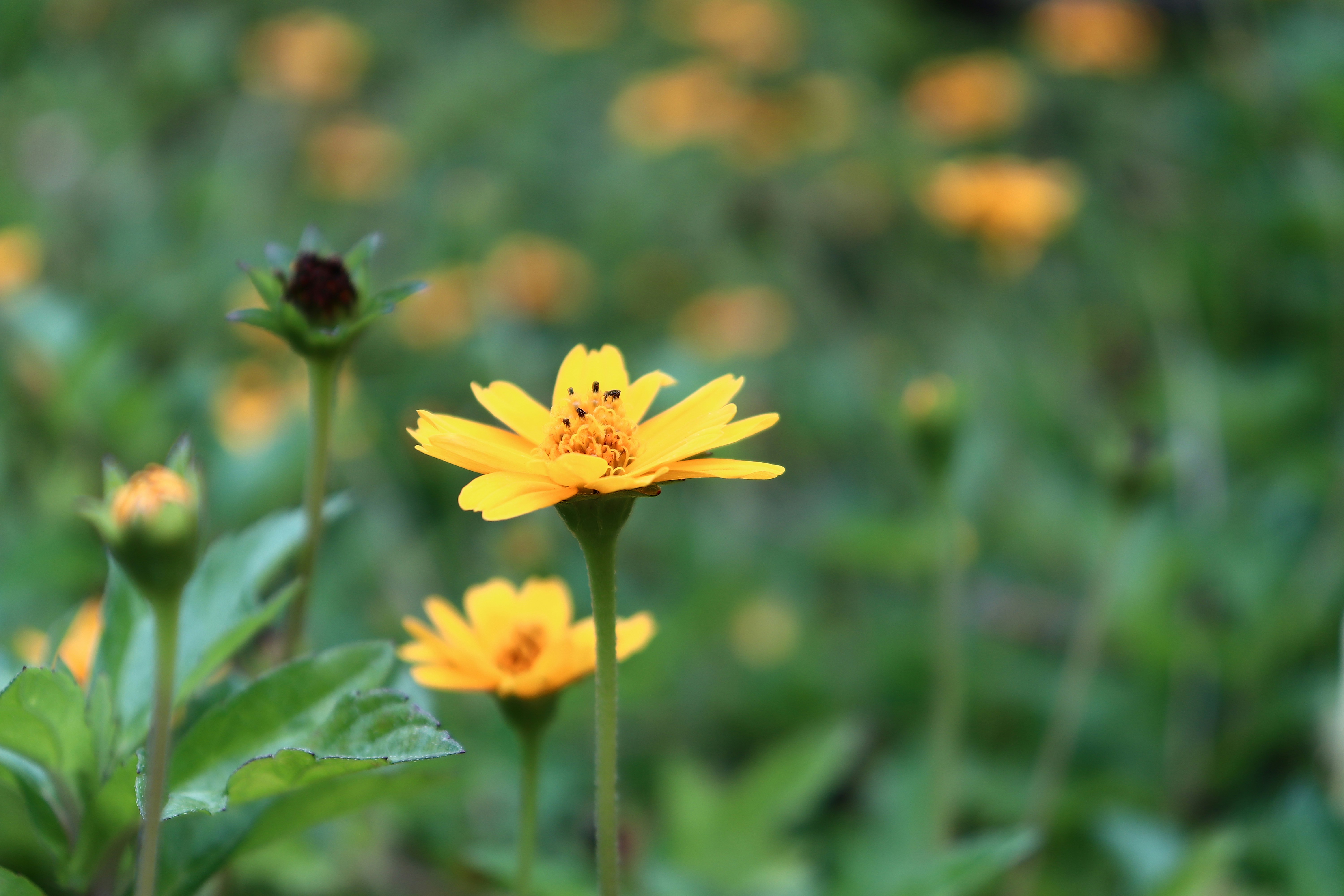 Photo by divine_spirit