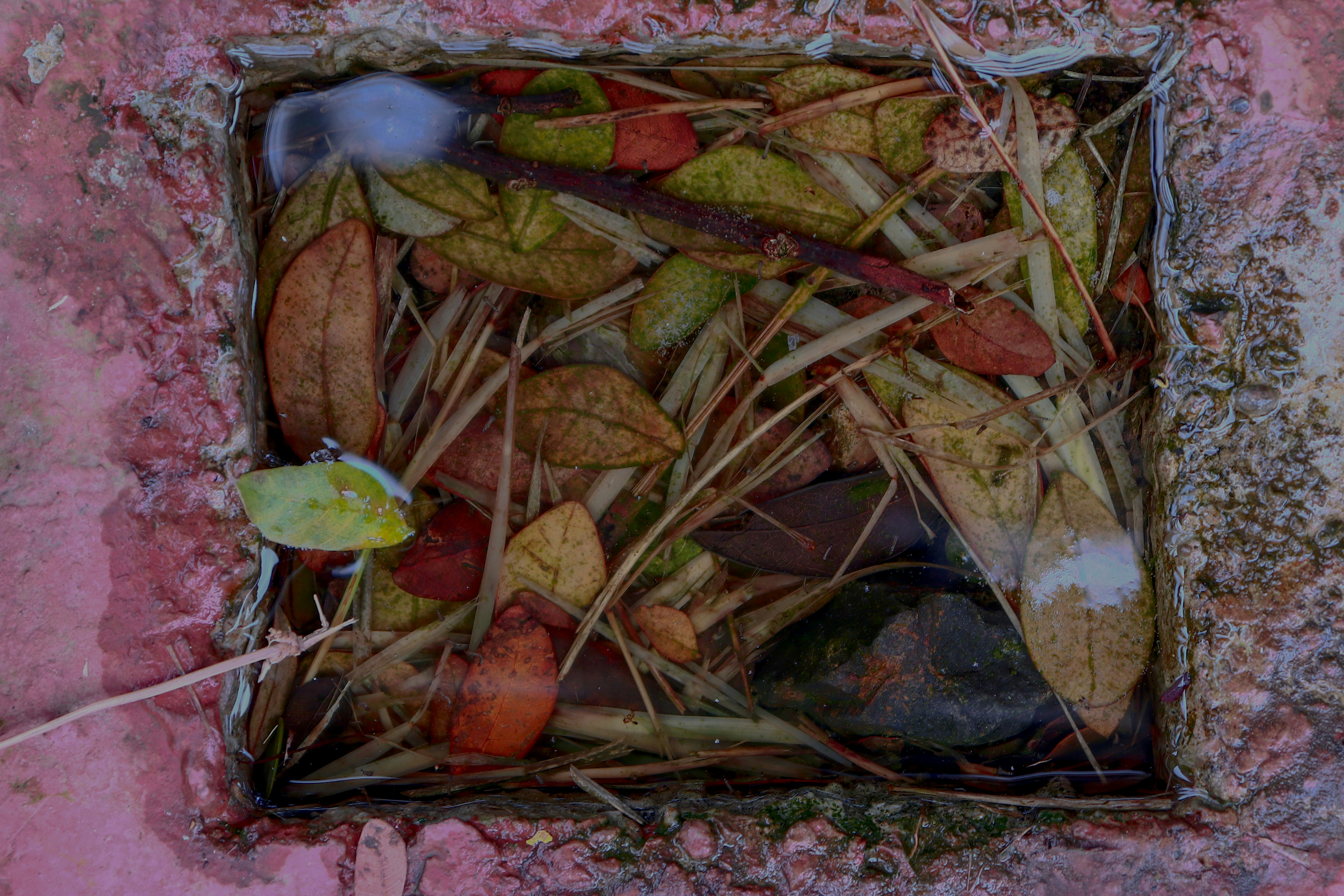 a box filled with lots of leaves on top of a cement wall