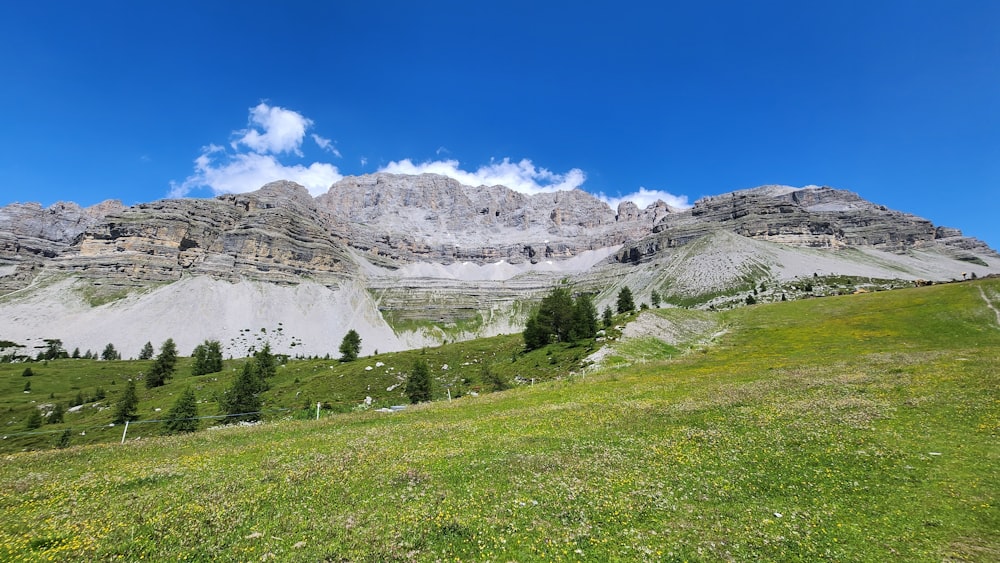 a grassy field with a mountain in the background