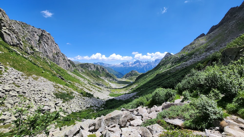 a view of a valley with mountains in the background