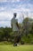 A person wearing a patterned shirt, shorts, a cap, and golf shoes is holding a golf club and standing on a golf course. The background features lush greenery and cloudy skies, suggesting a peaceful outdoor setting.