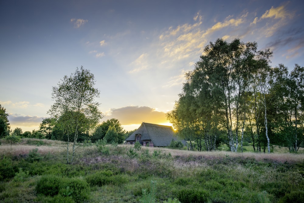 a barn in a field with trees in the background