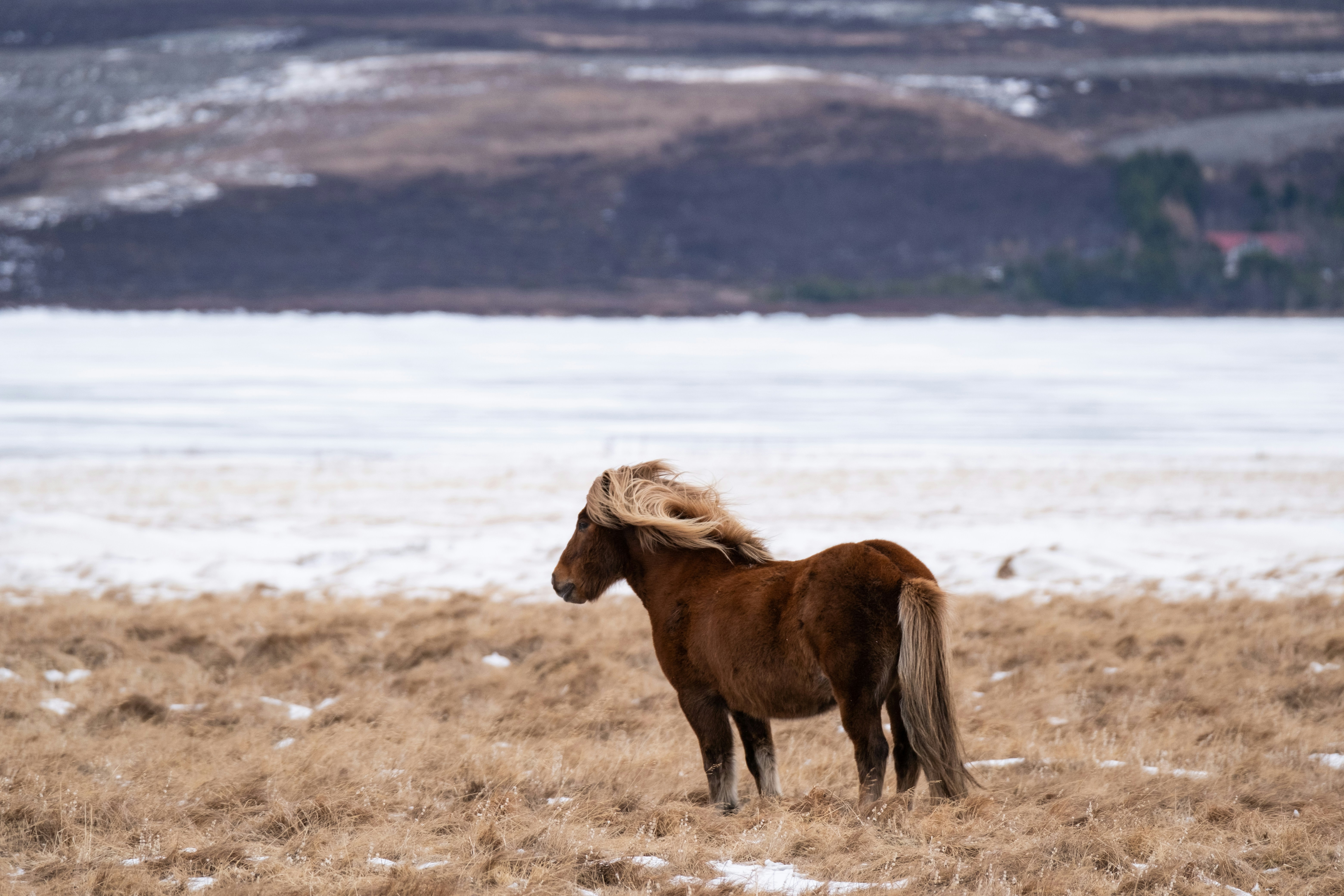 Photo by flousentimental