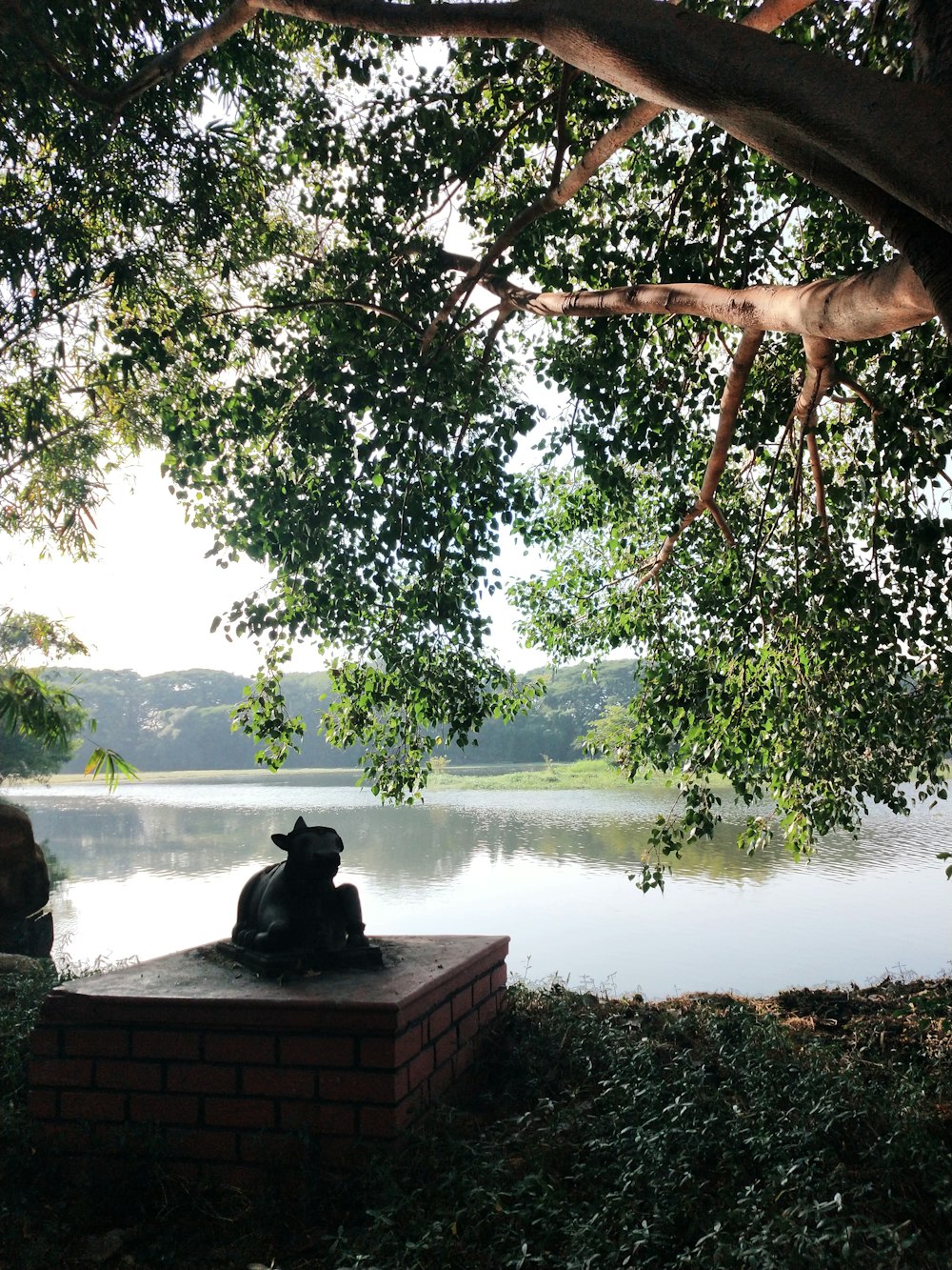 a statue of a dog sitting under a tree next to a body of water