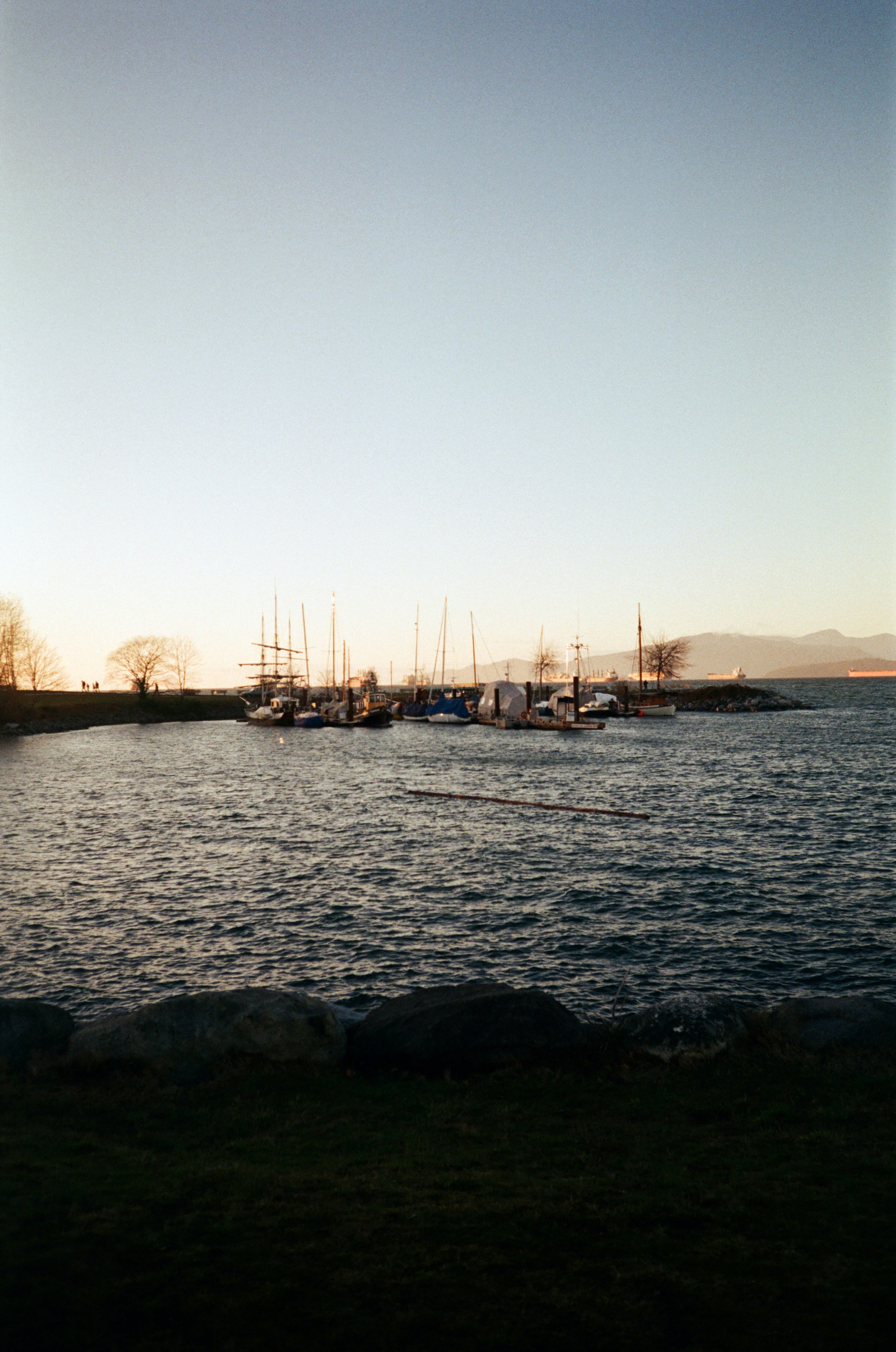 a body of water filled with lots of boats