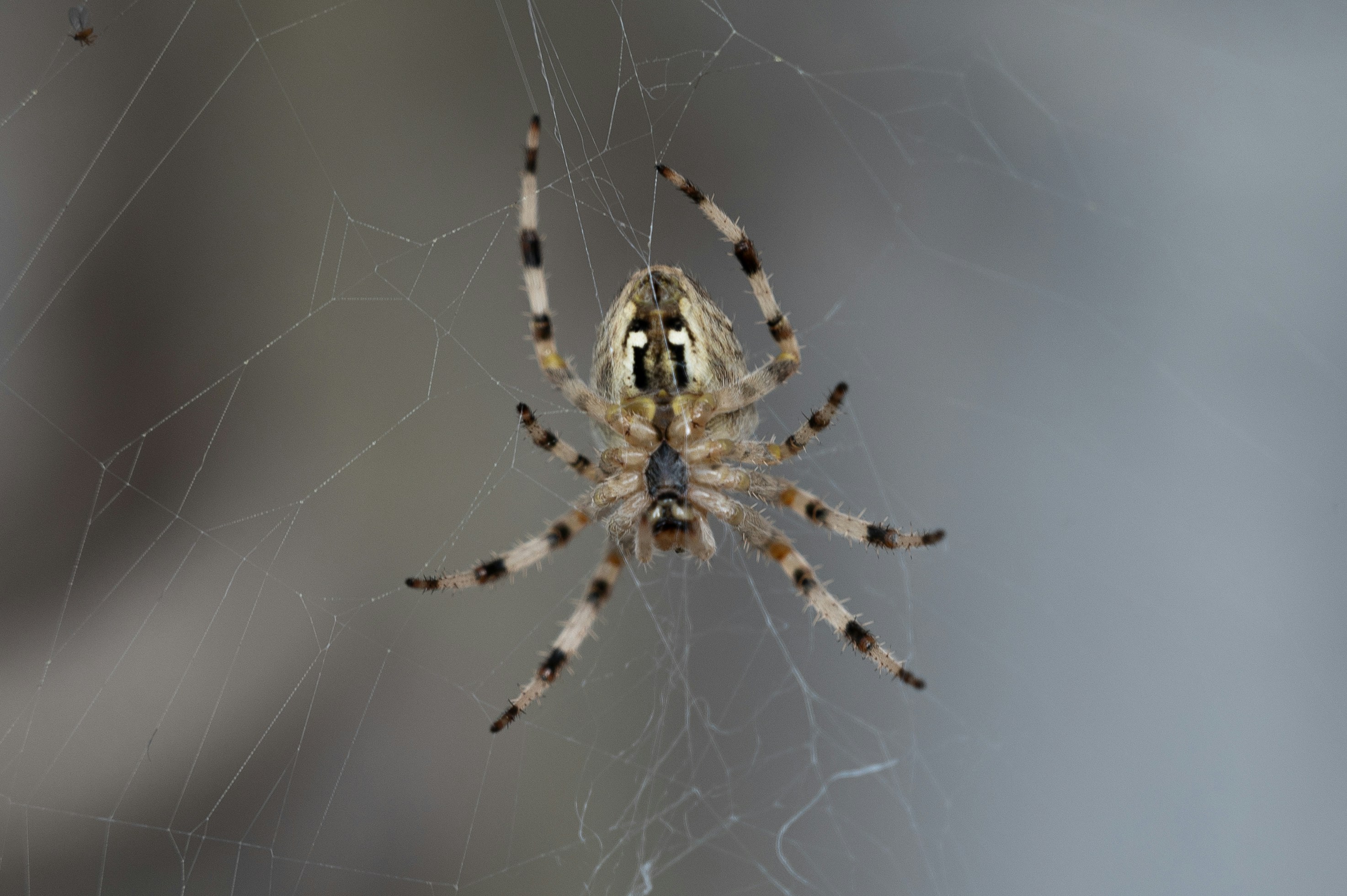 Photo by robert_inze