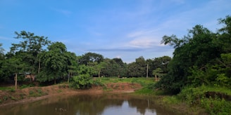 A serene fish farm pond surrounded by lush greenery under a clear blue sky.