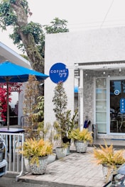 A modern outdoor cafe setting with a white and gray building facade. There are potted plants with yellow and green foliage along the walkway. A blue sign with the word 'COFINE' is mounted on the wall. The area is adorned with a large tree and a blue umbrella above a seating area.