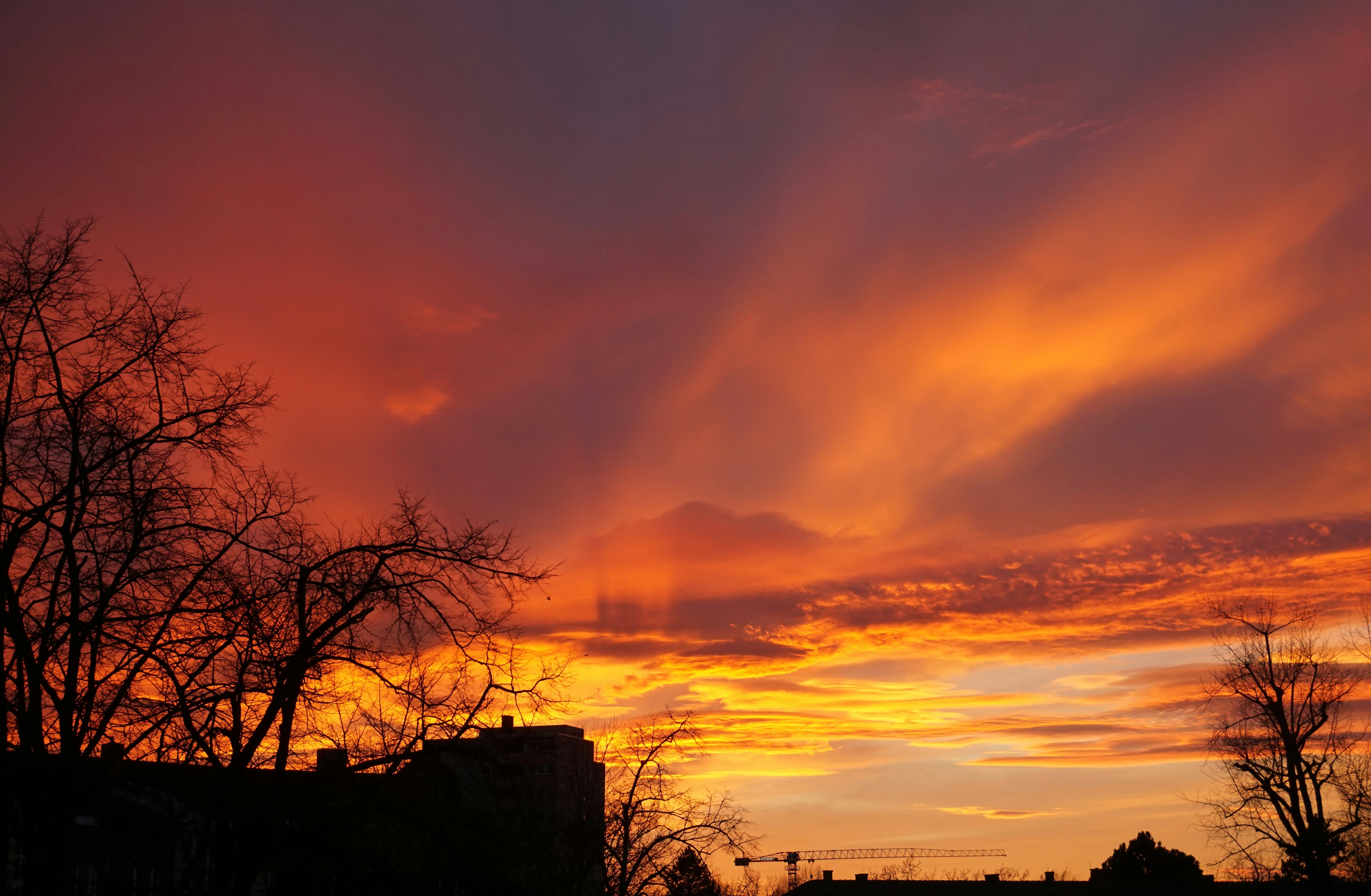 Una puesta de sol con nubes y árboles en primer plano